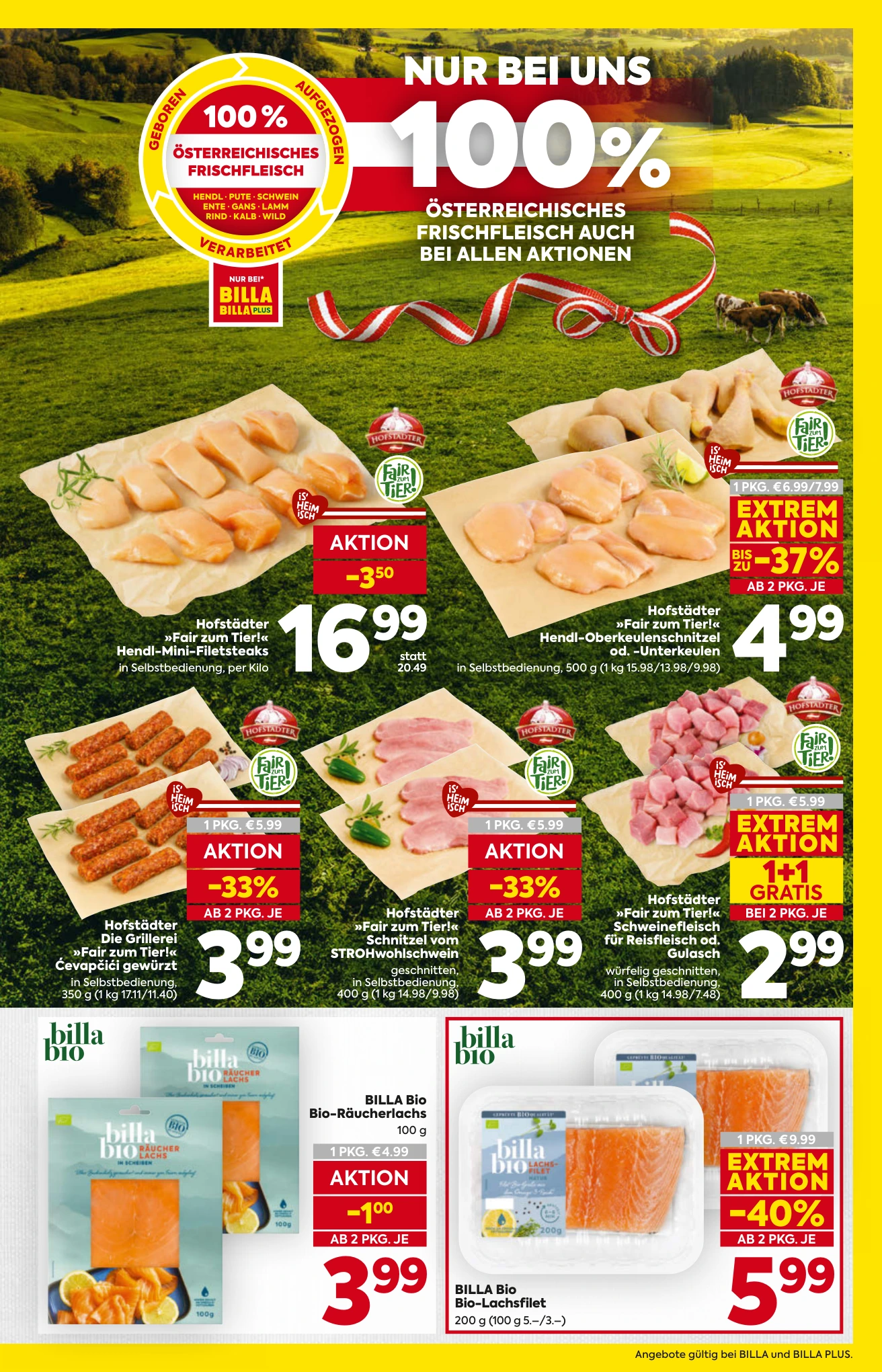 Flyer page 7