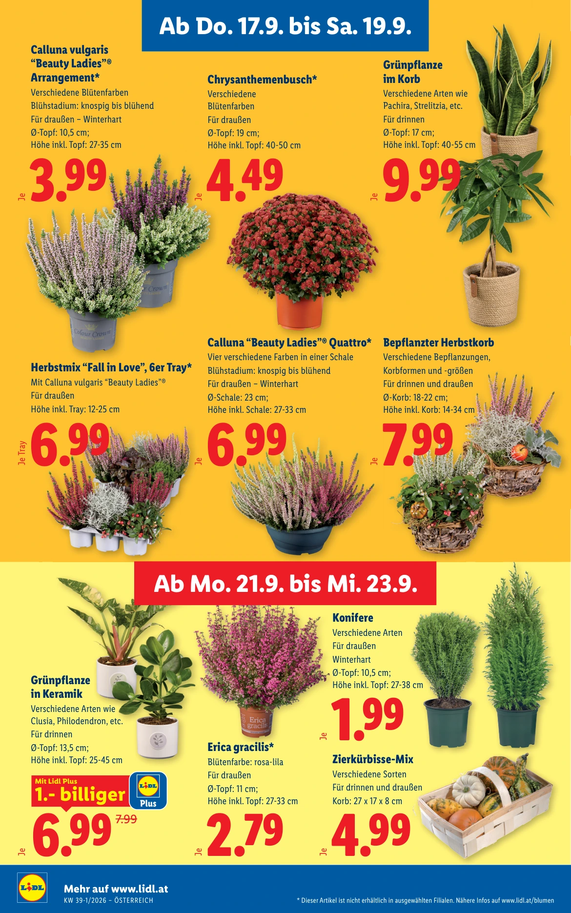 Flyer page 28