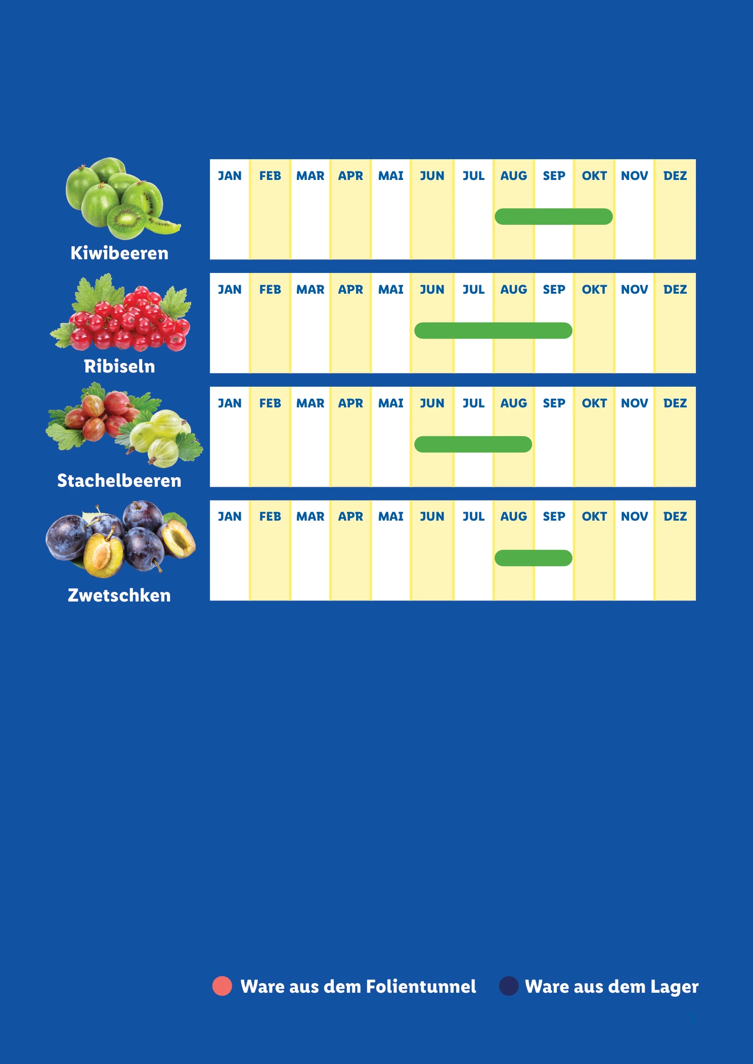 Flyer page 3