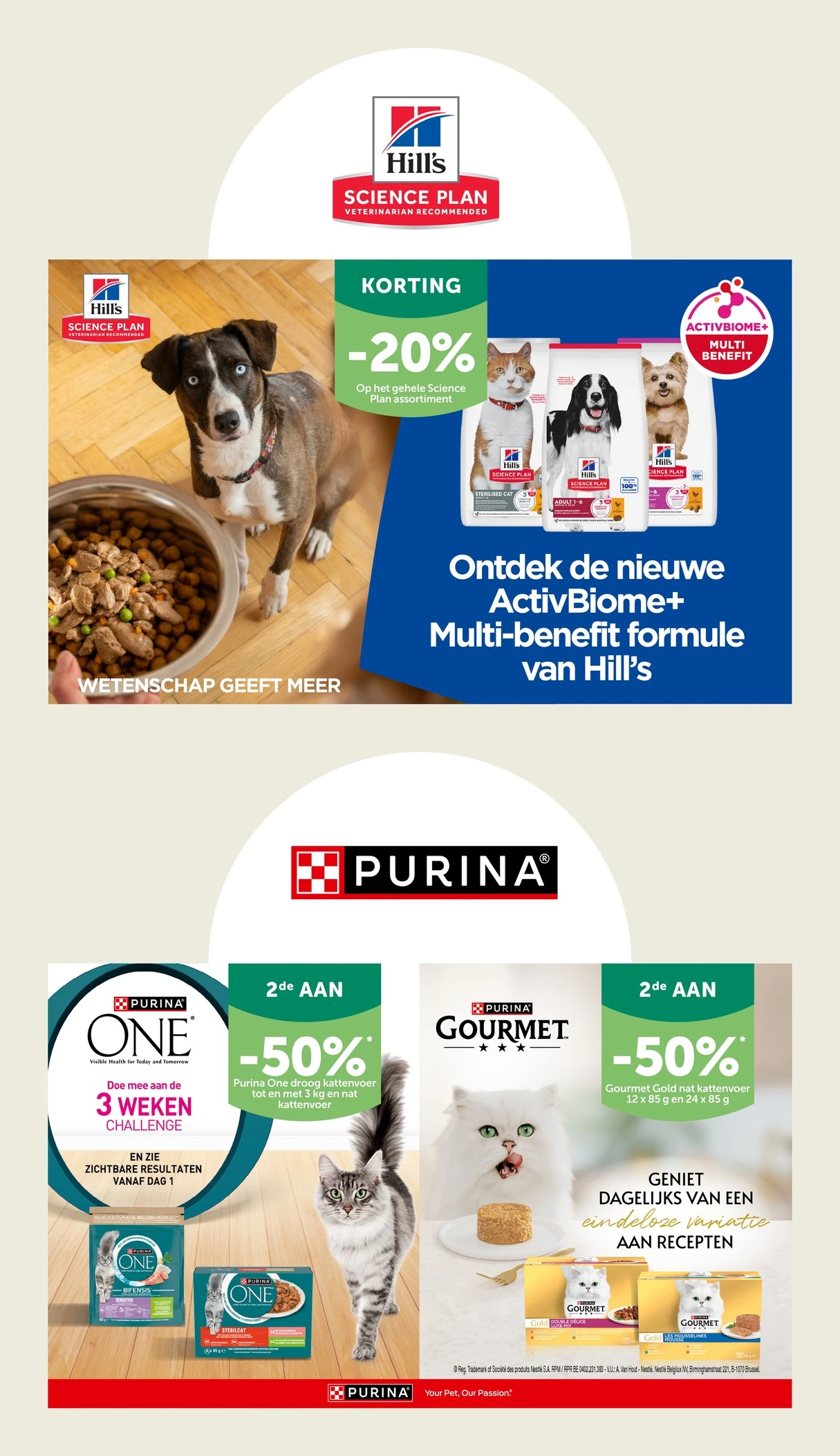 Flyer page 10