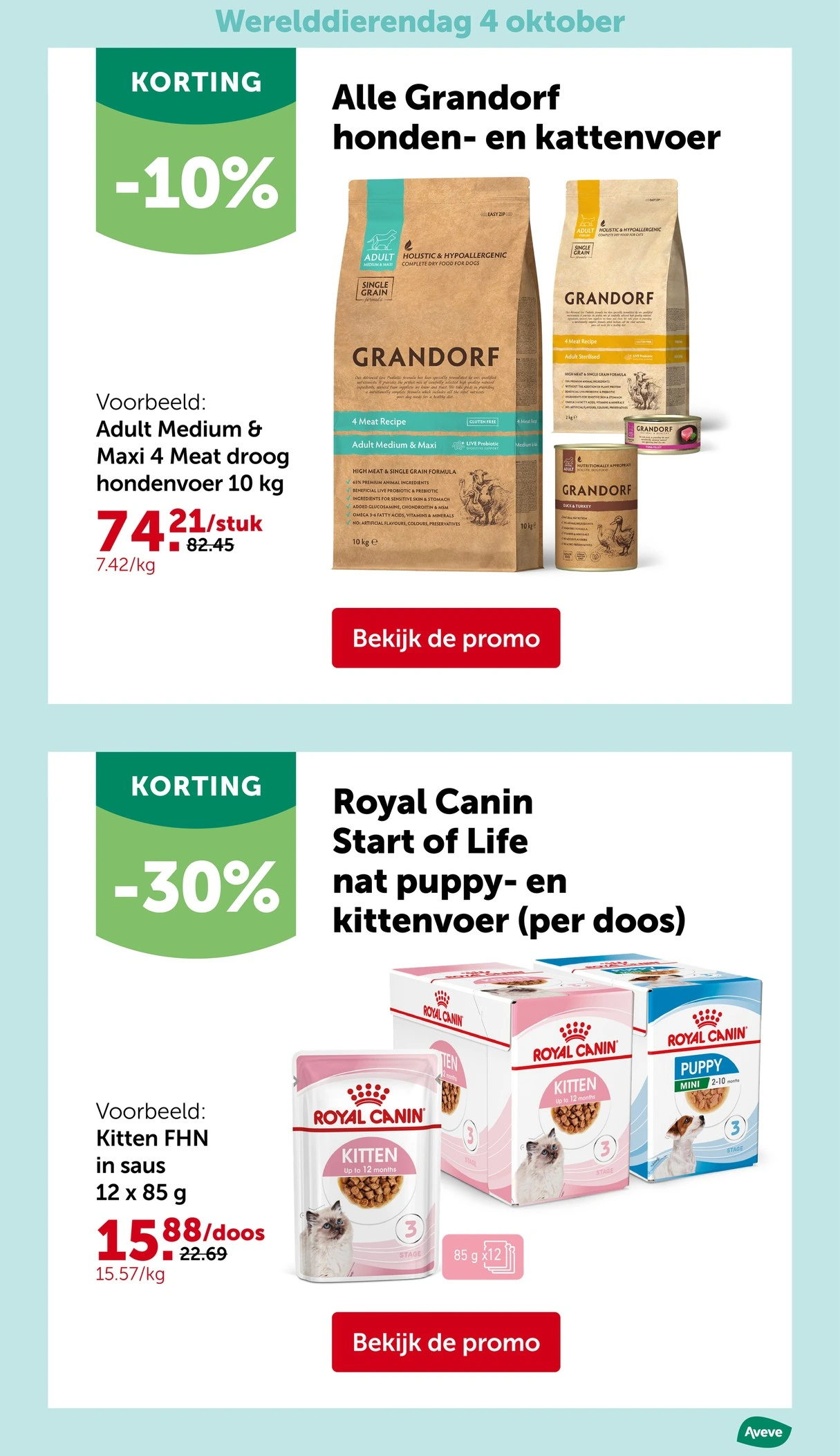 Flyer page 11