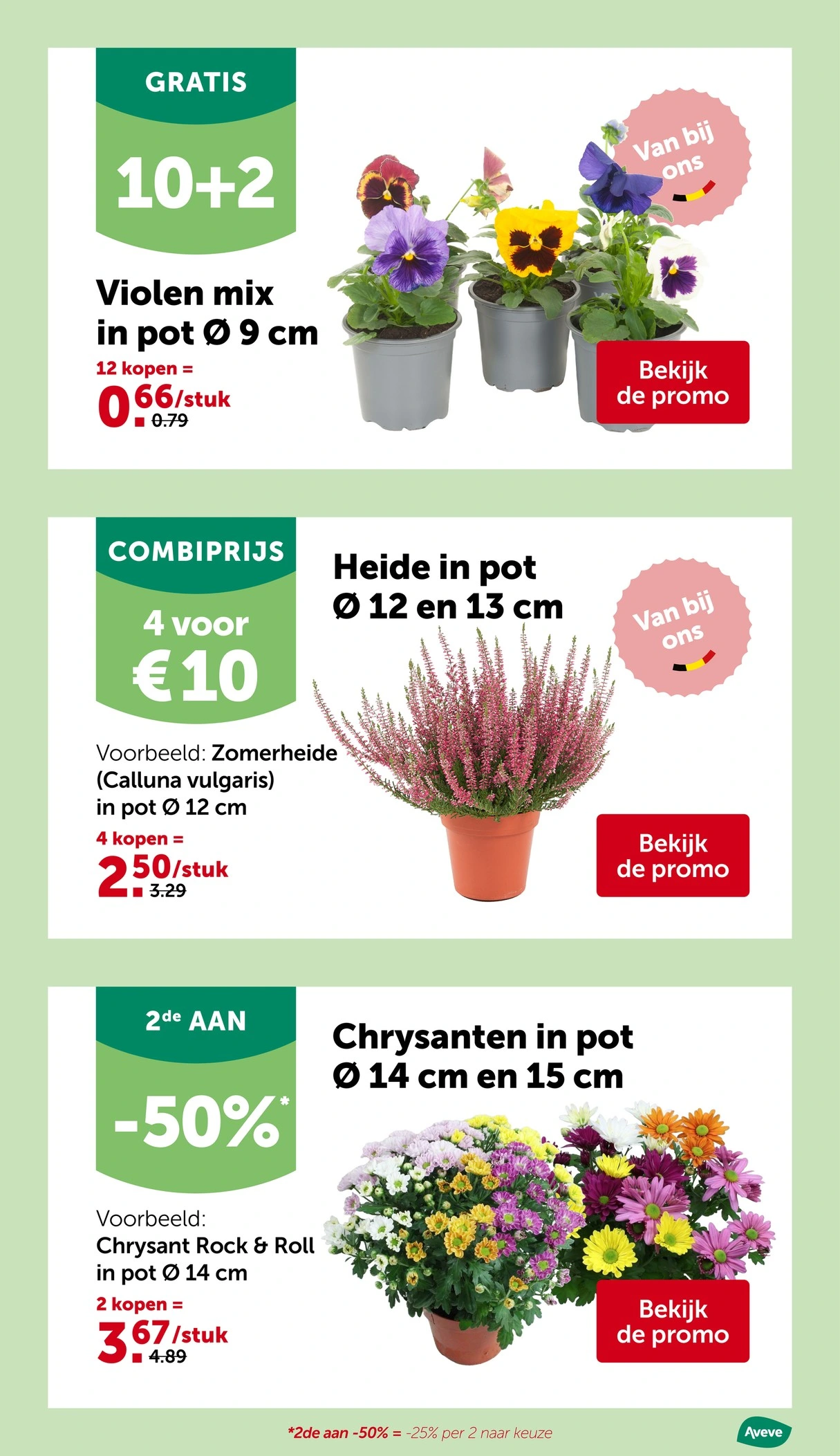 Flyer page 29