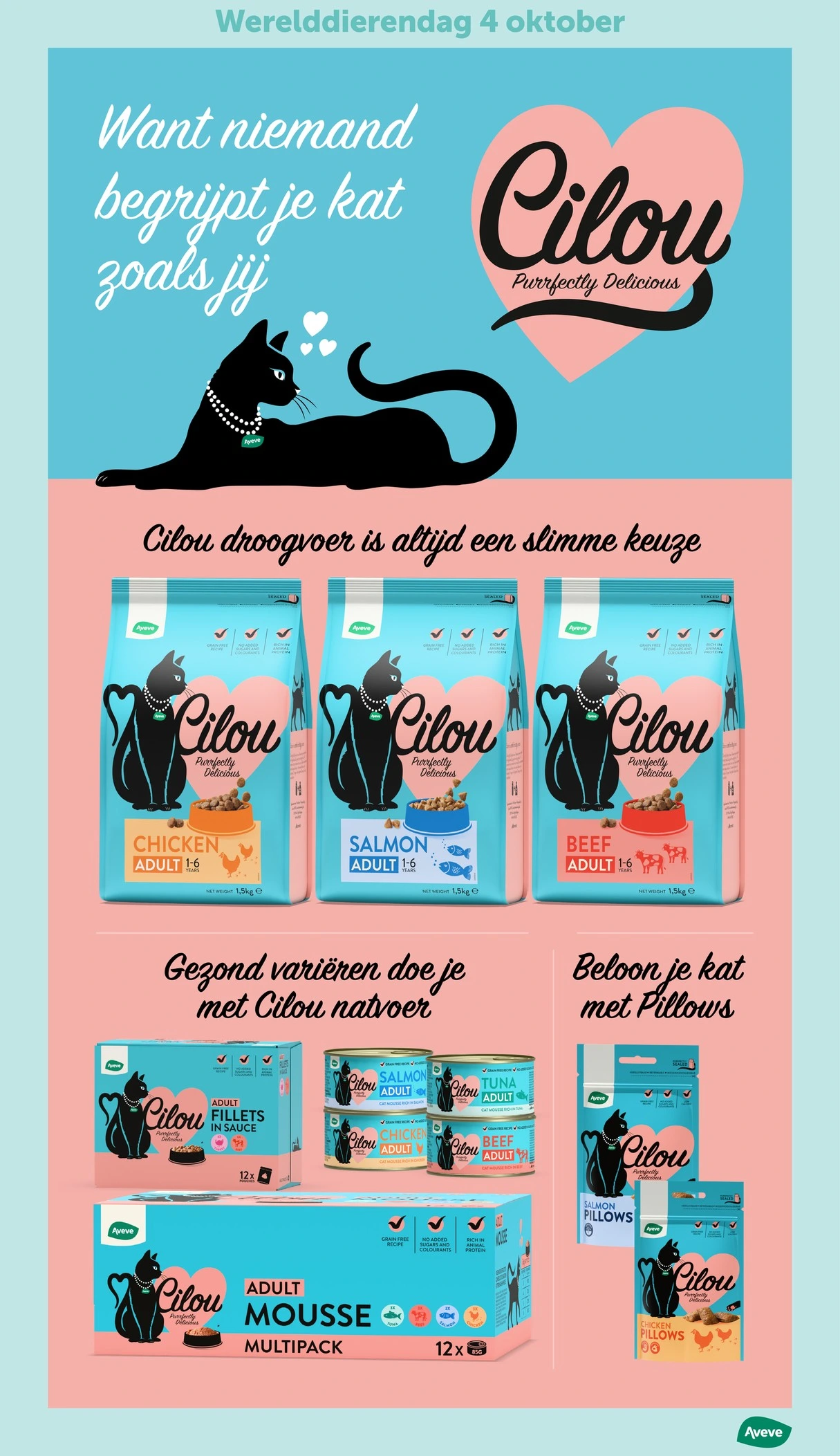 Flyer page 3