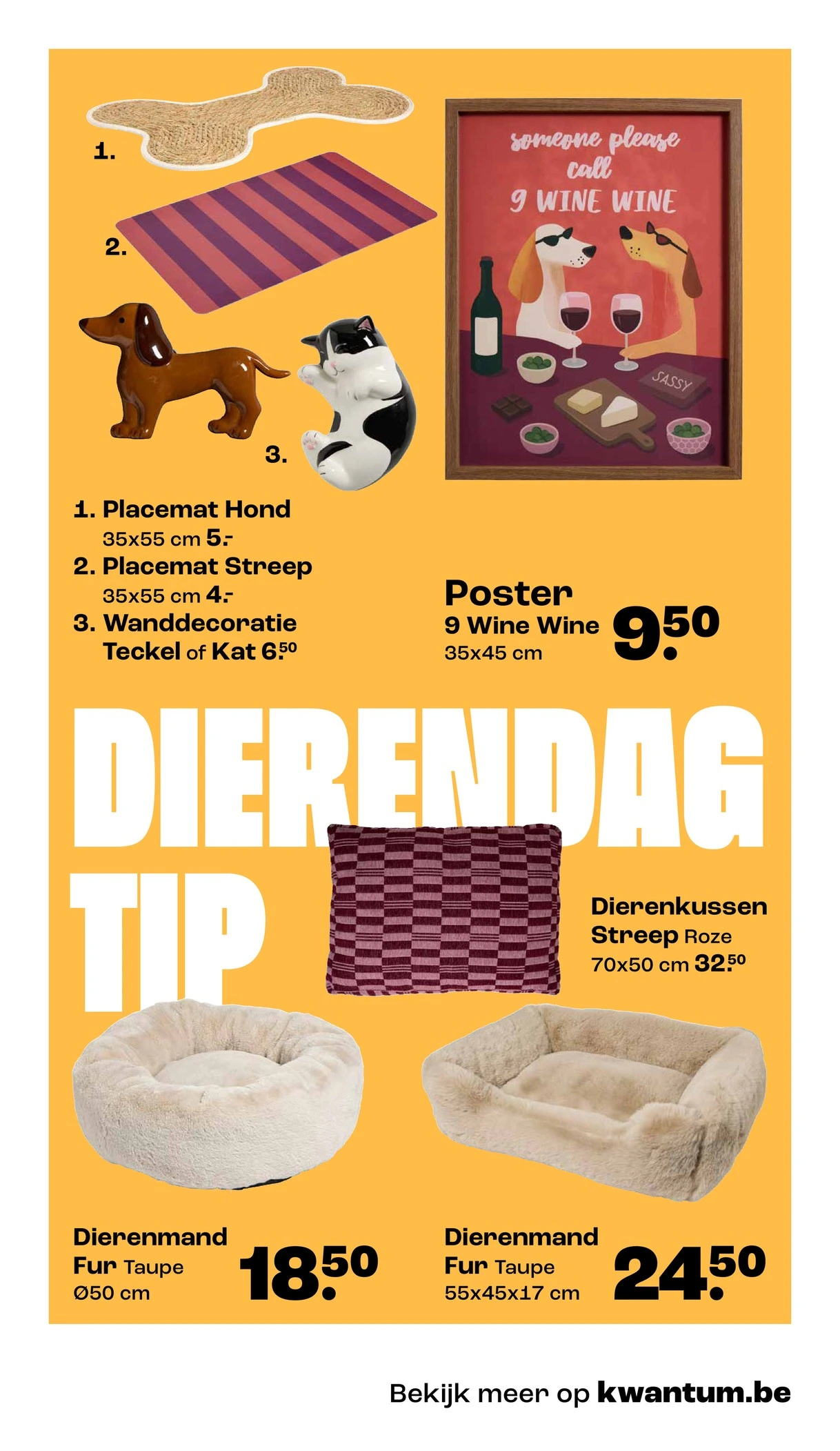Flyer page 13