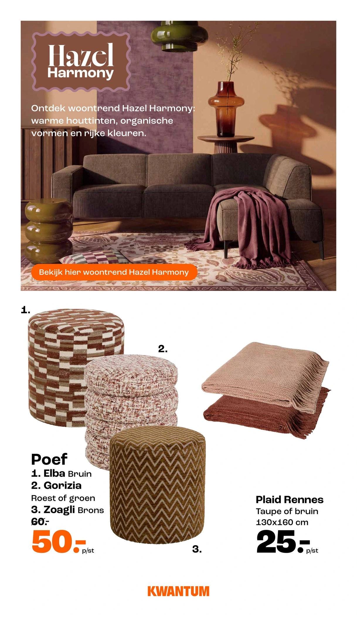 Flyer page 2