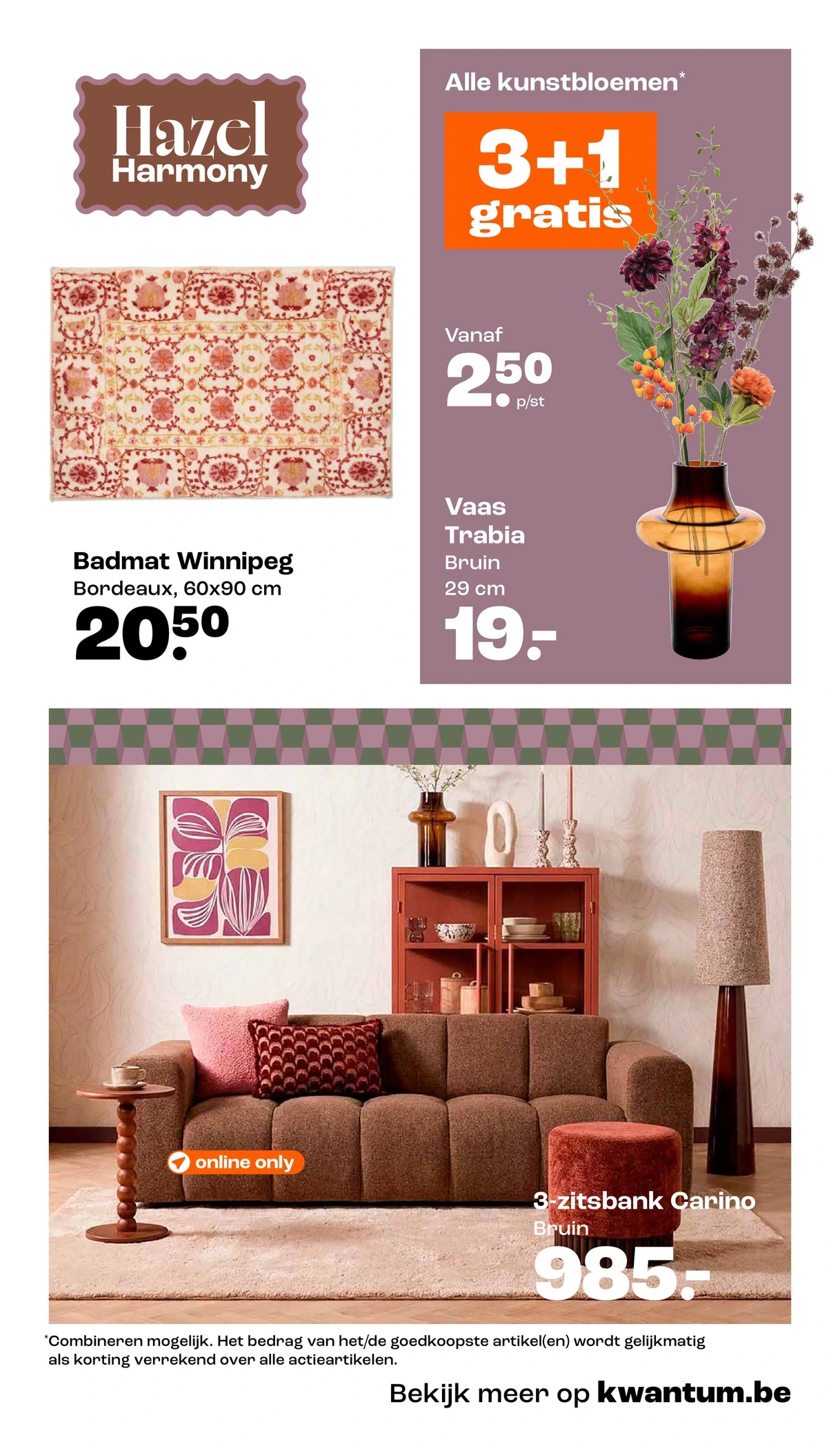 Flyer page 5