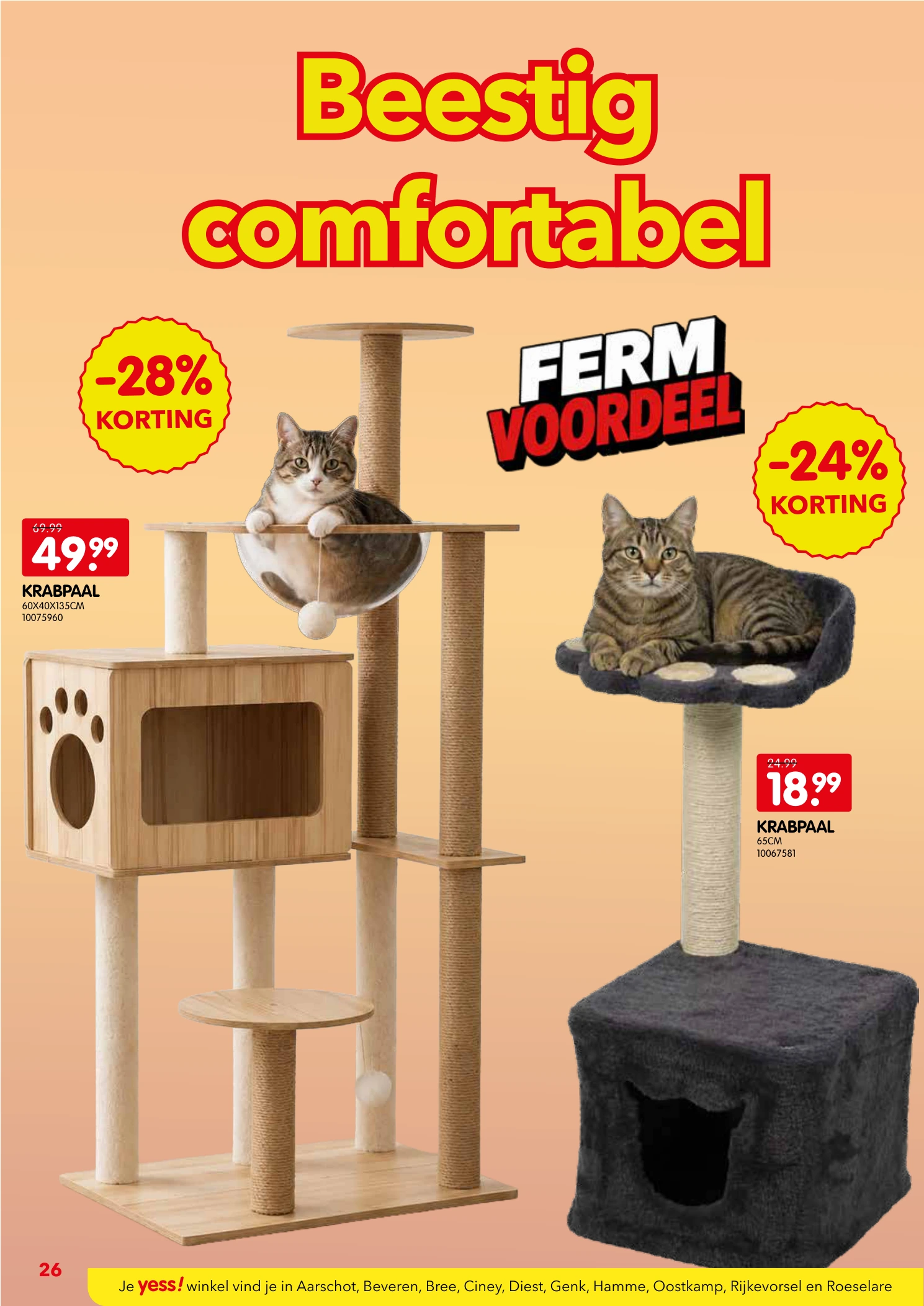 Flyer page 26