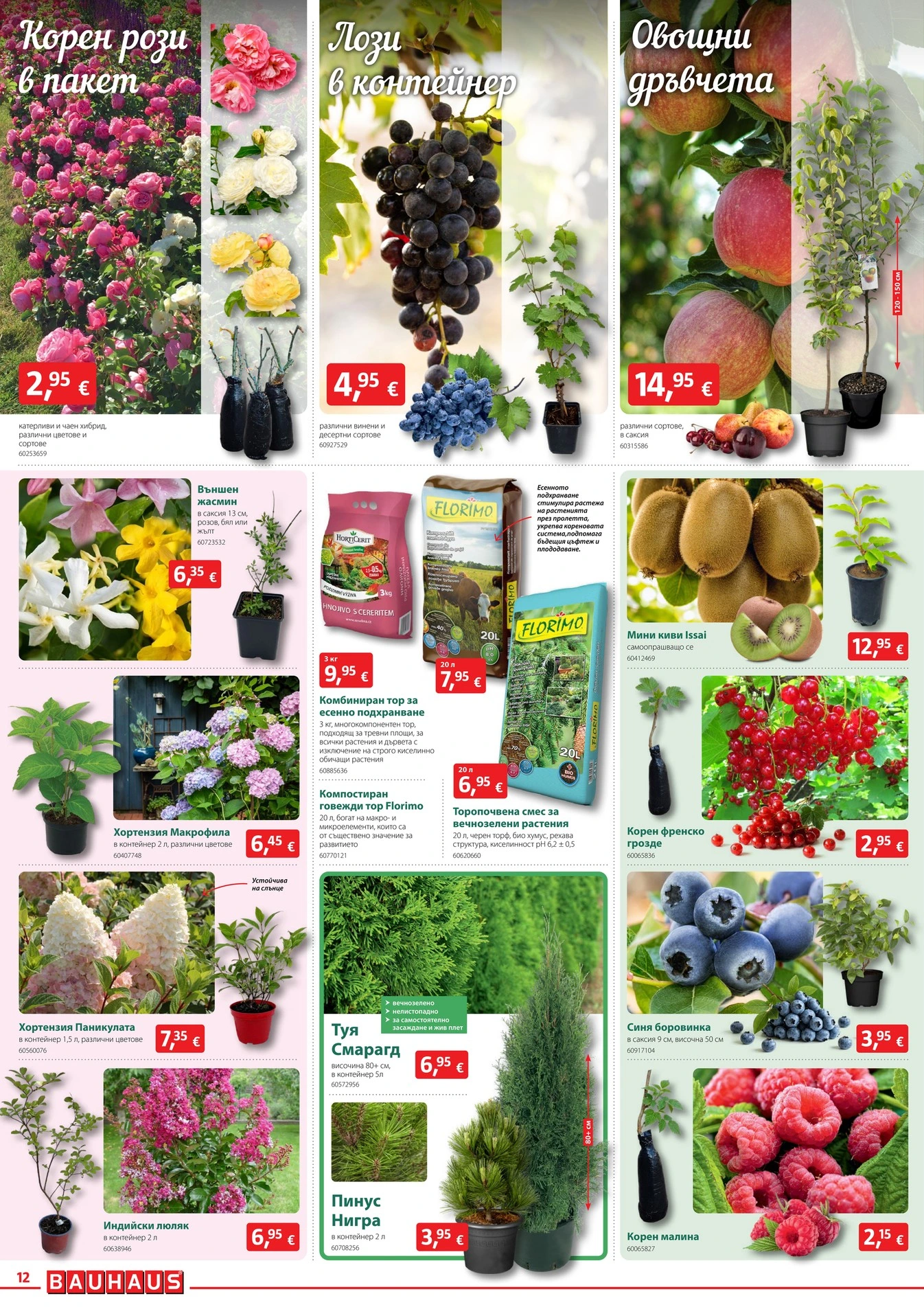 Flyer page 12