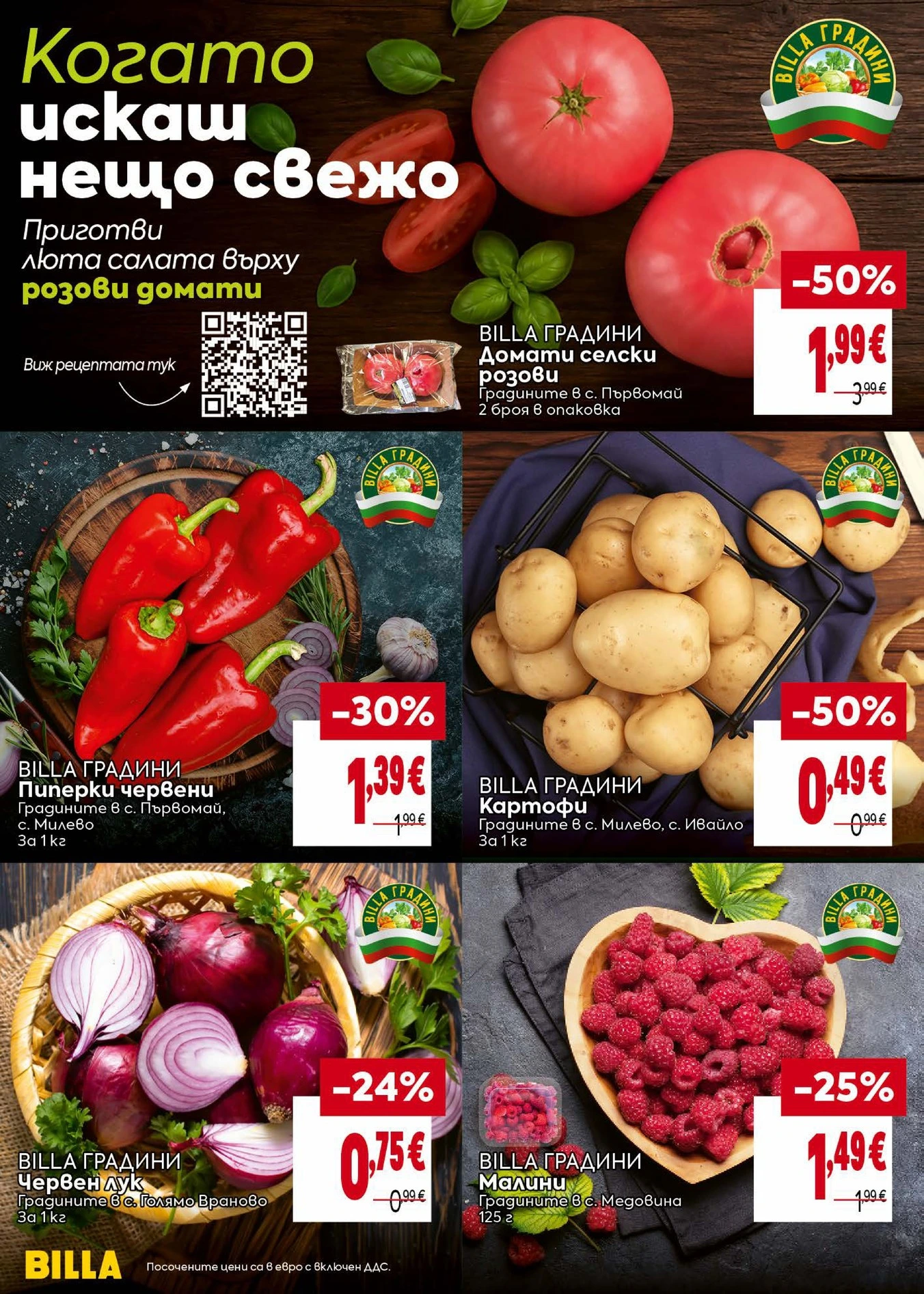 Flyer page 10