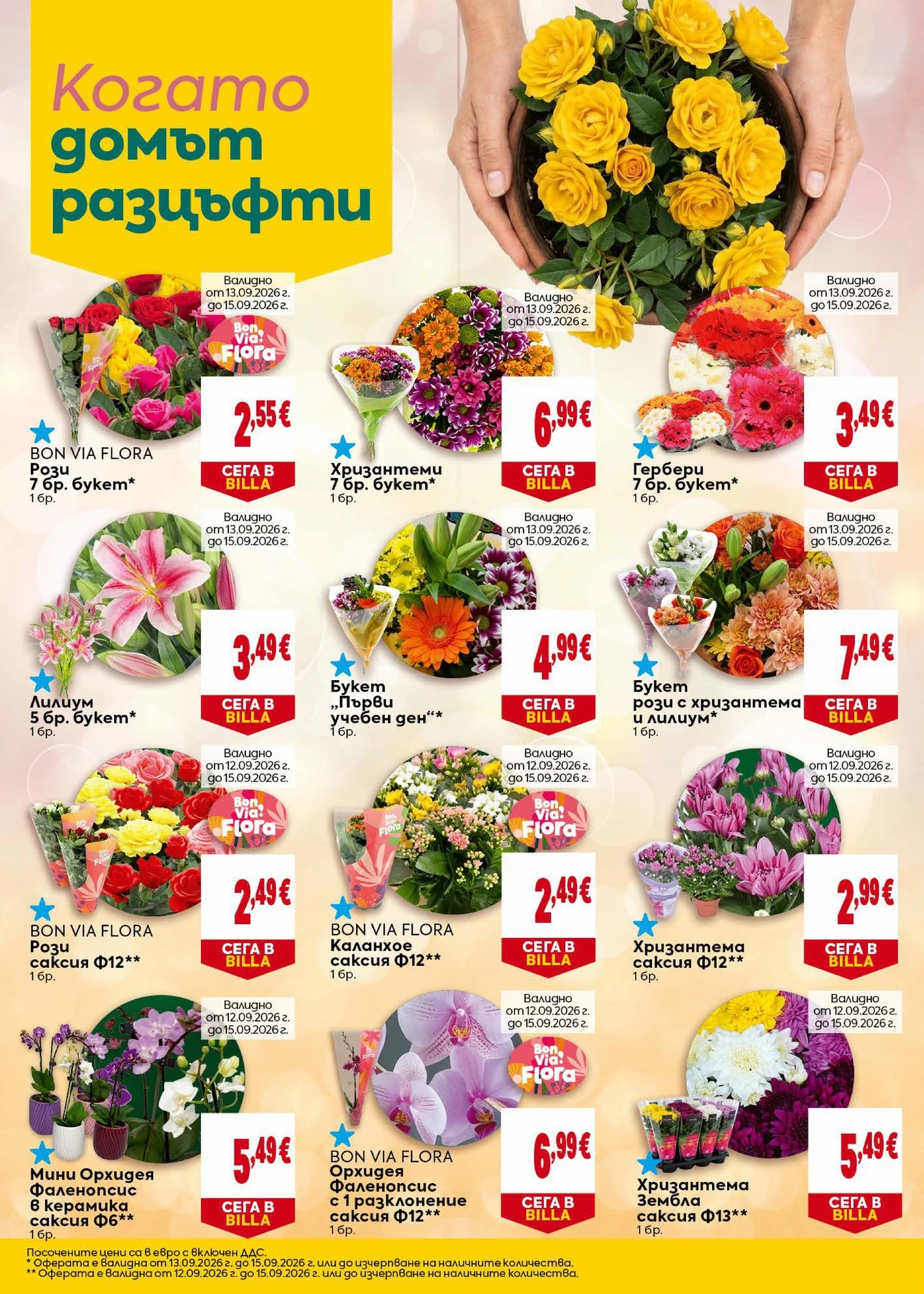 Flyer page 12
