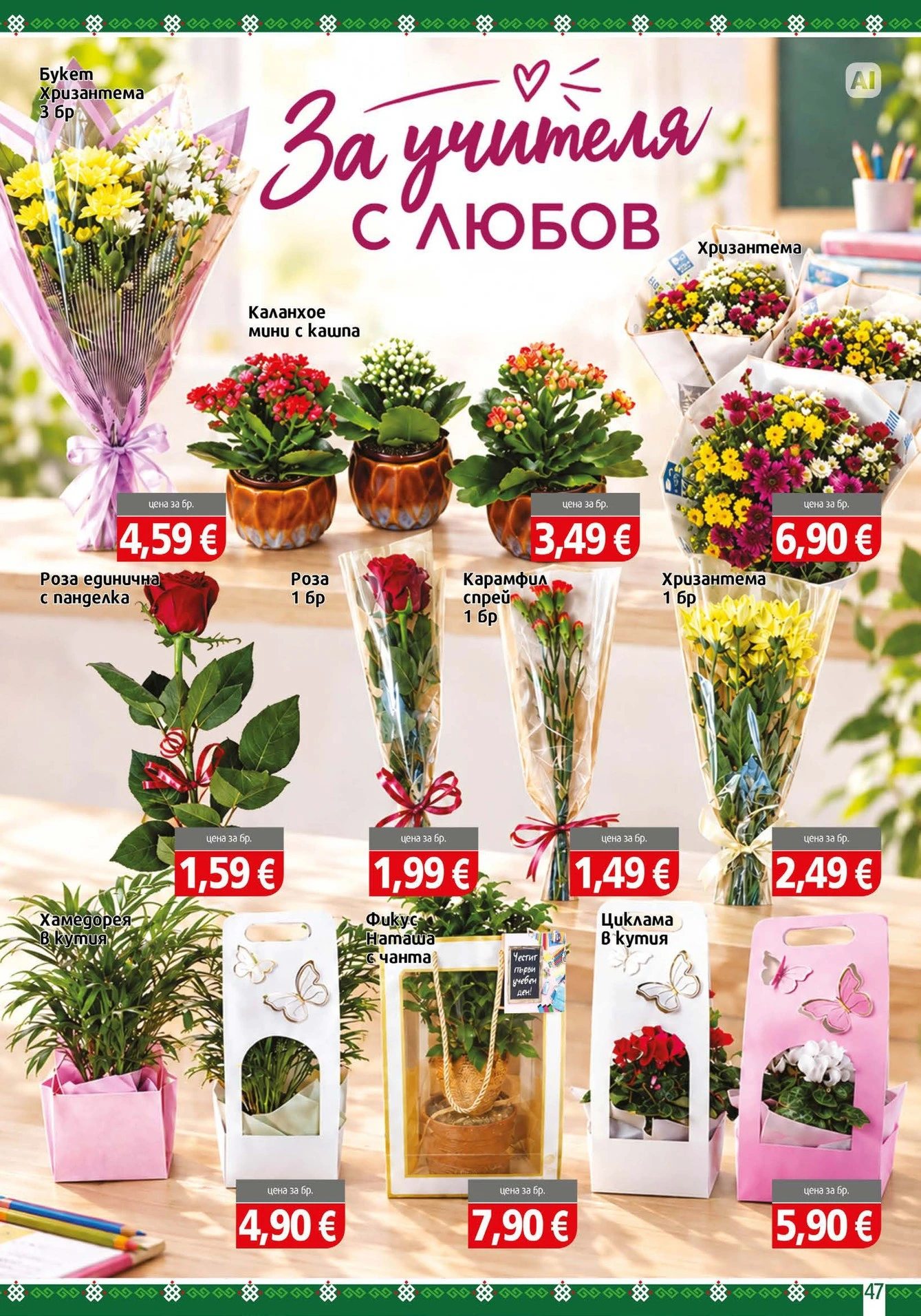 Flyer page 47