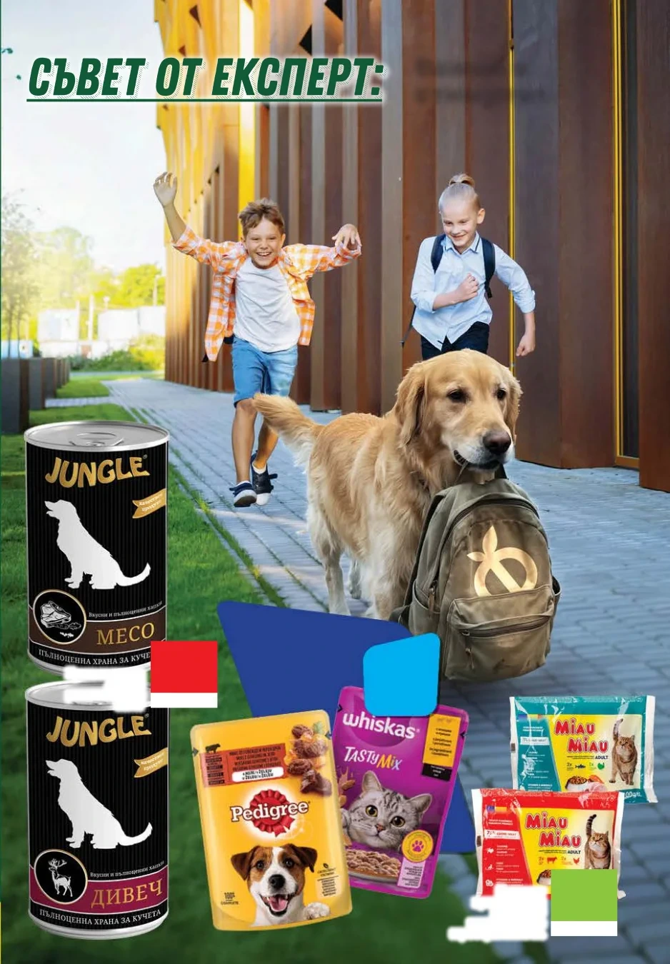 Flyer page 69