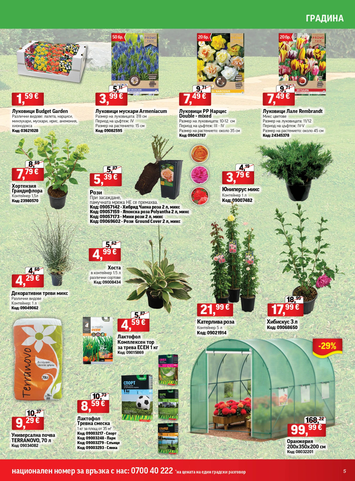 Flyer page 5