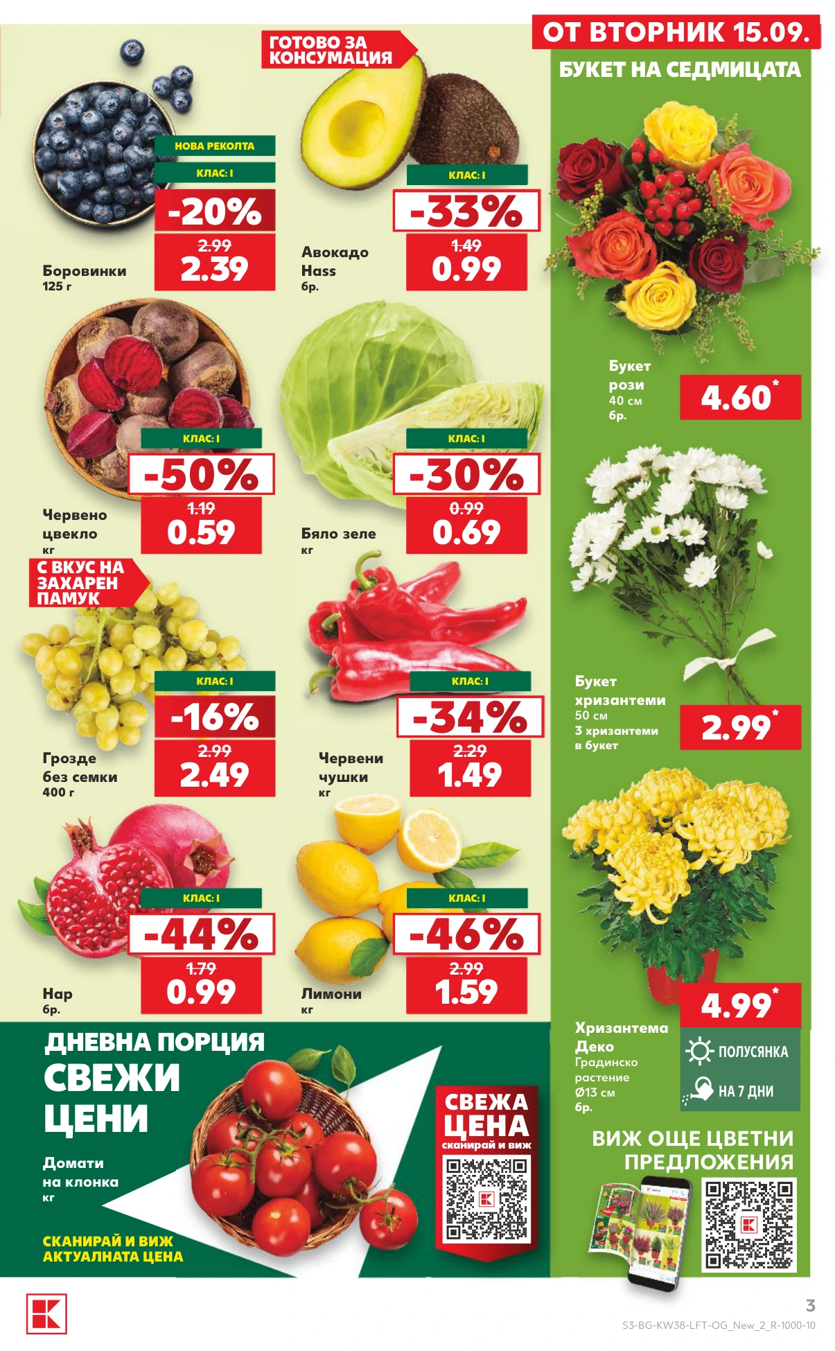 Flyer page 3