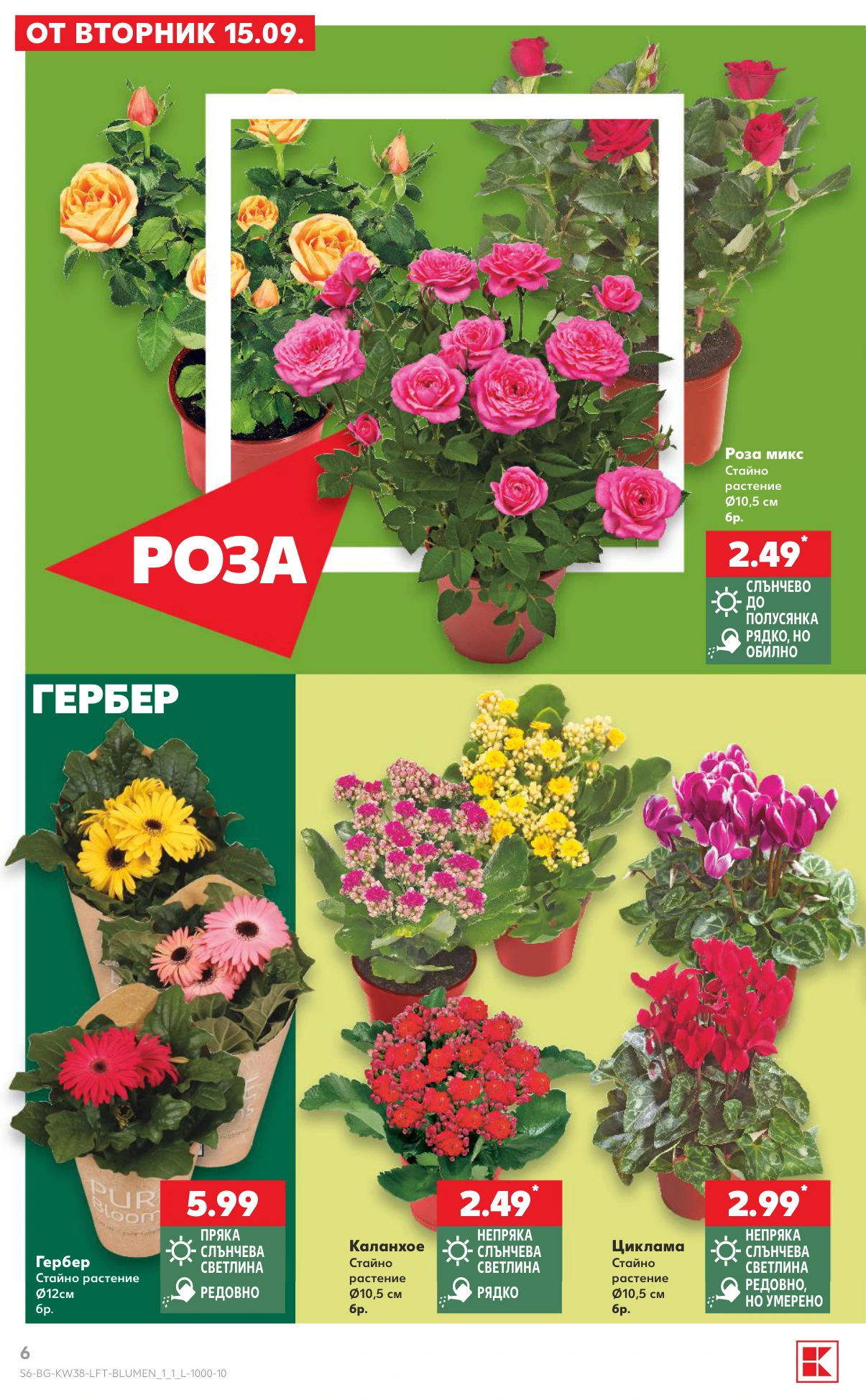 Flyer page 6