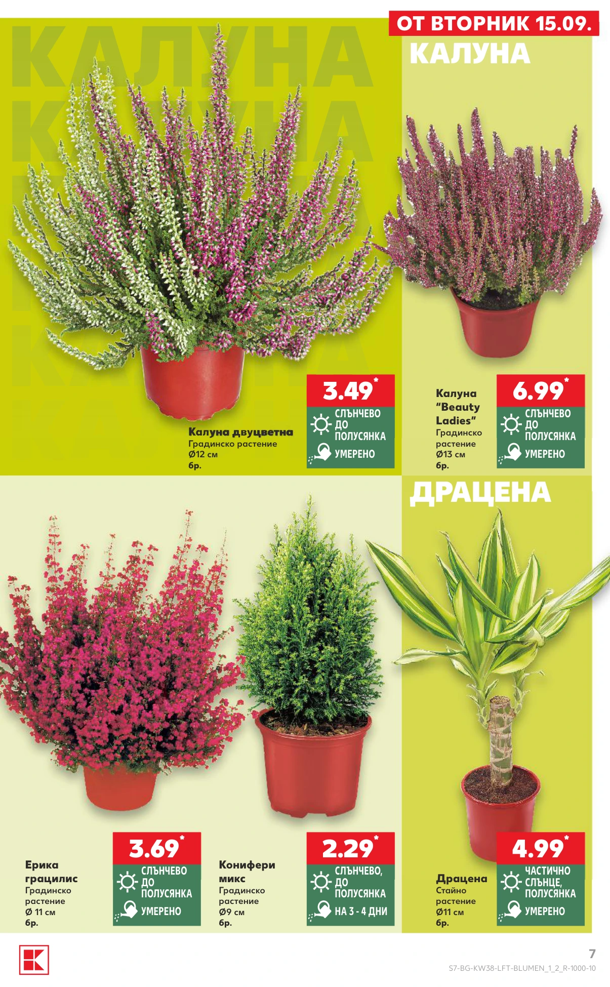 Flyer page 7