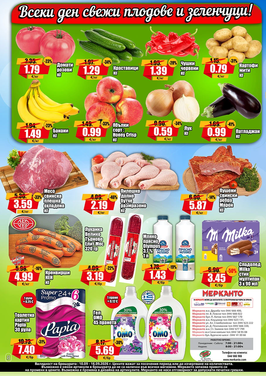 Flyer page 8