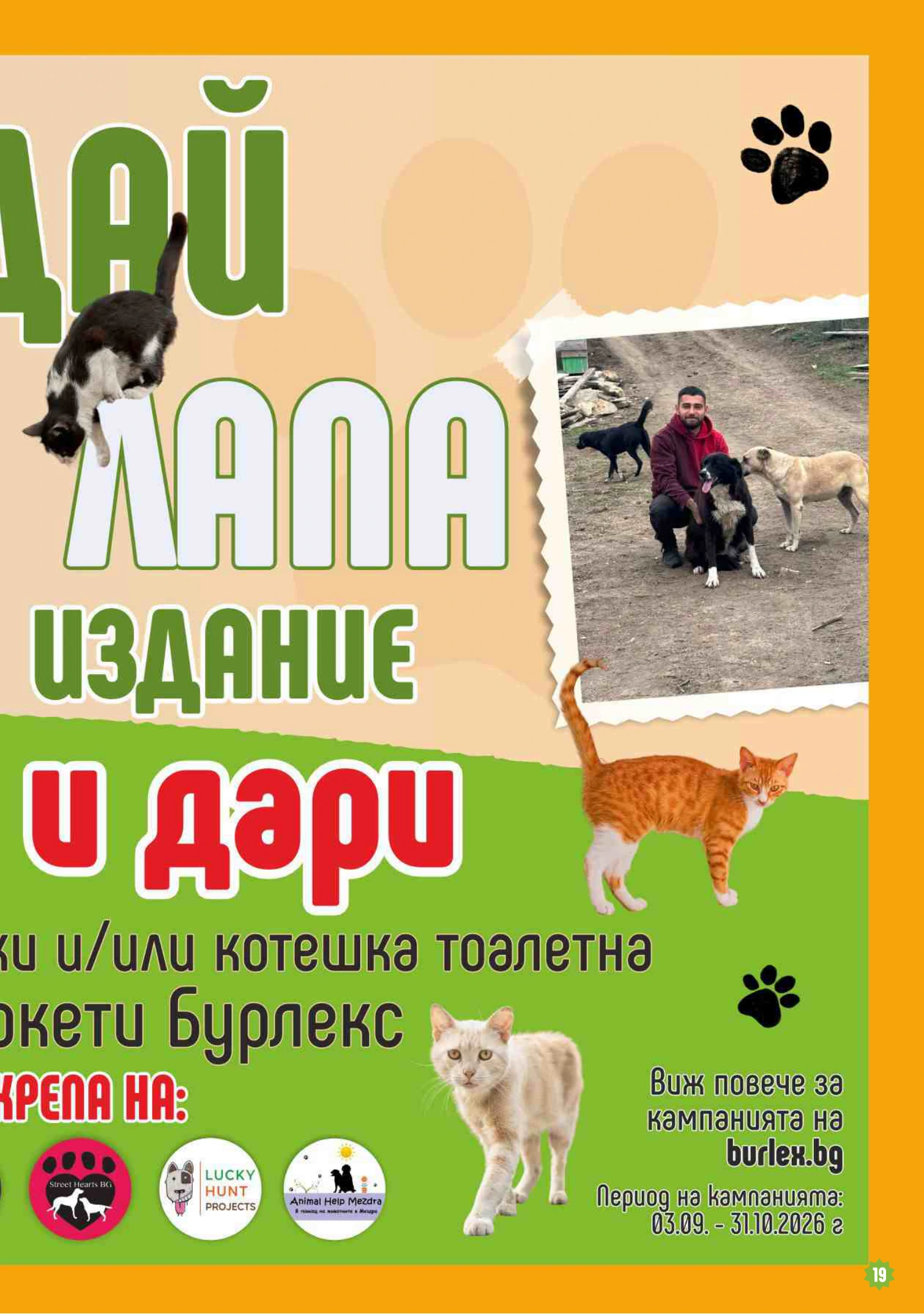 Flyer page 19
