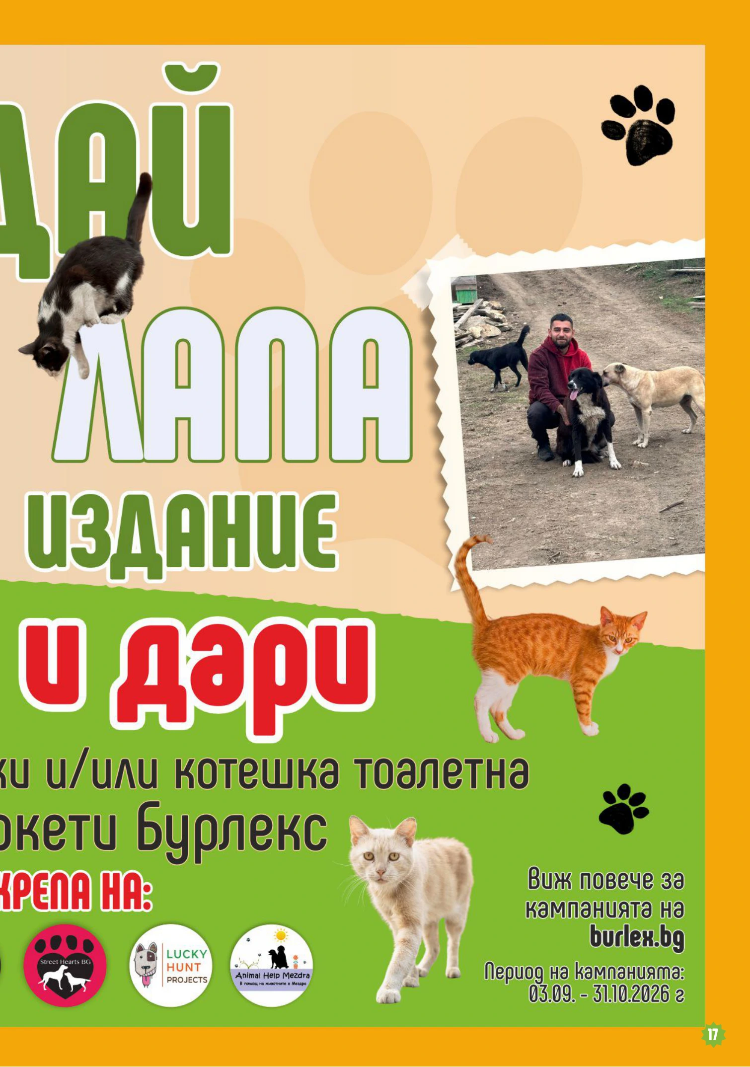 Flyer page 17