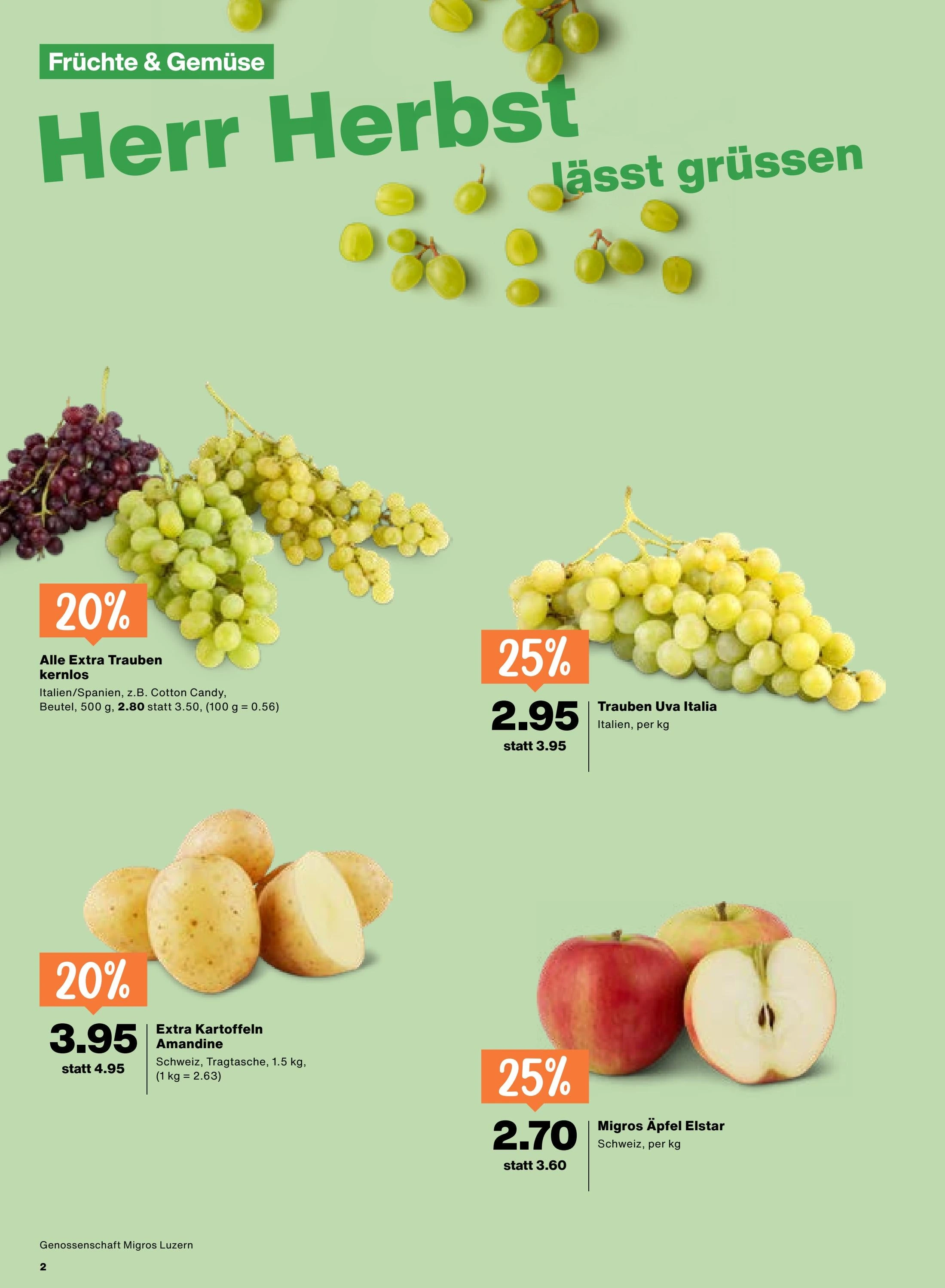 Flyer page 2