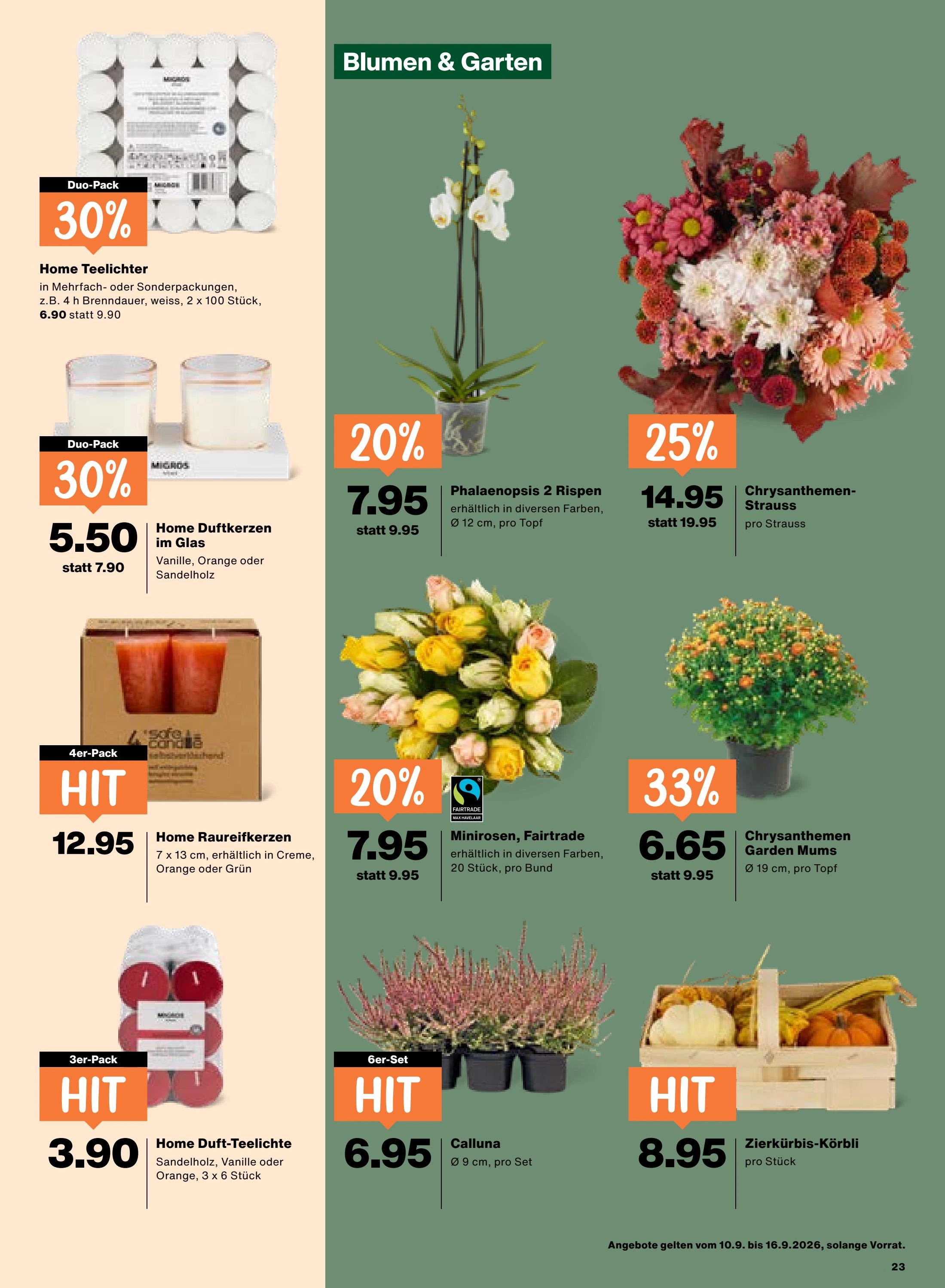 Flyer page 23