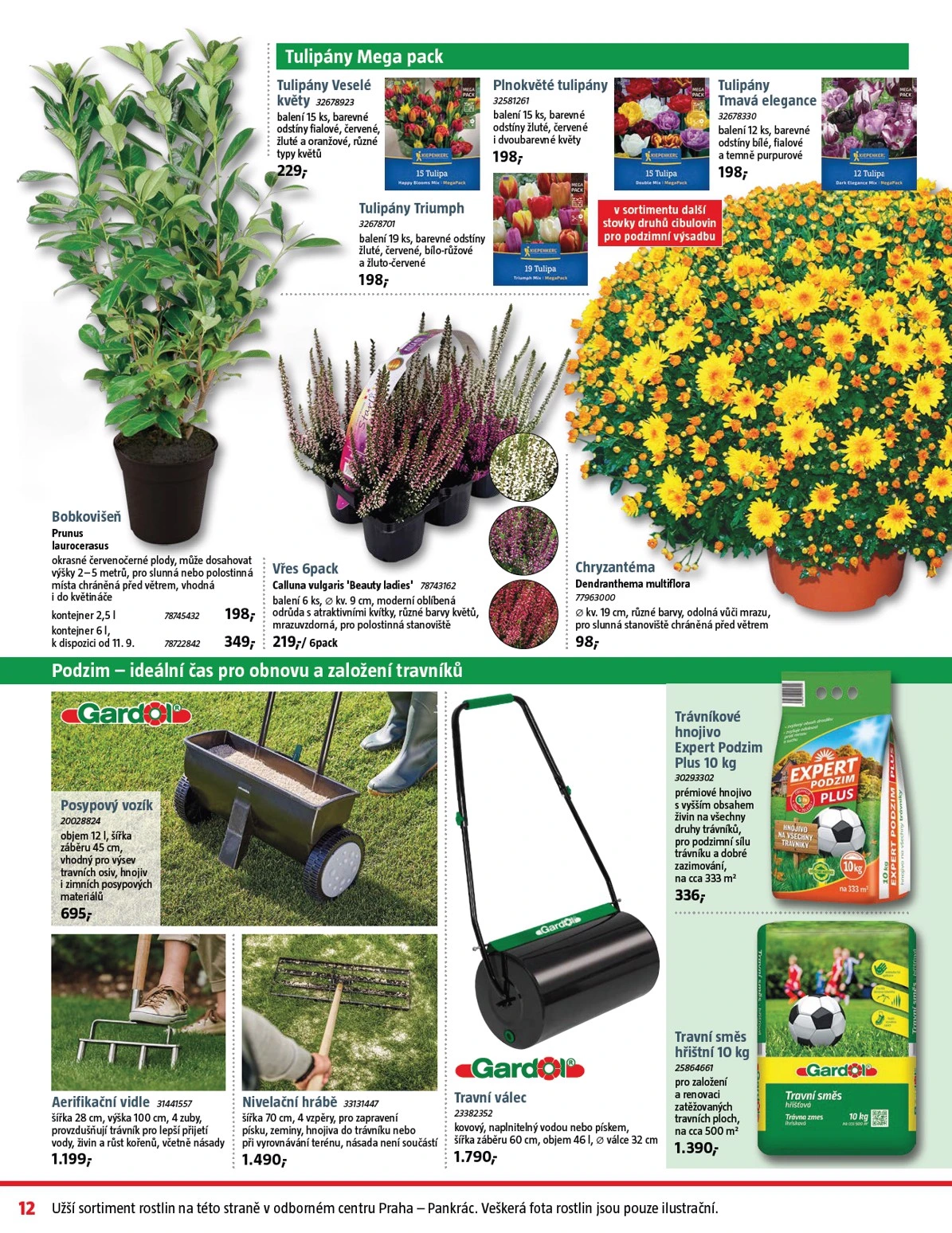 Flyer page 12
