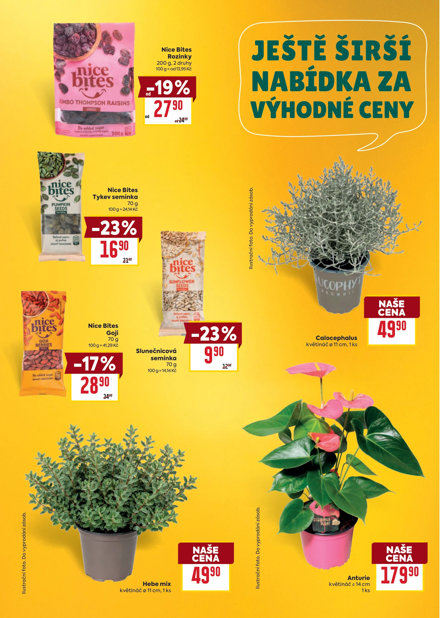 Flyer page 37