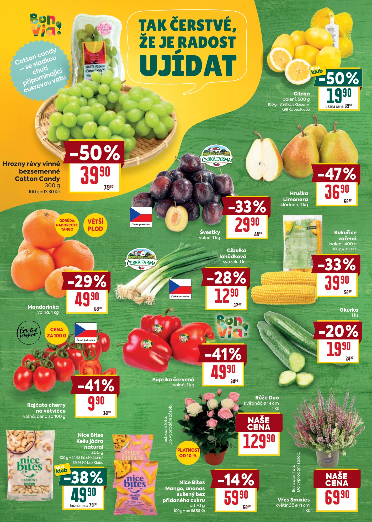 Flyer page 4