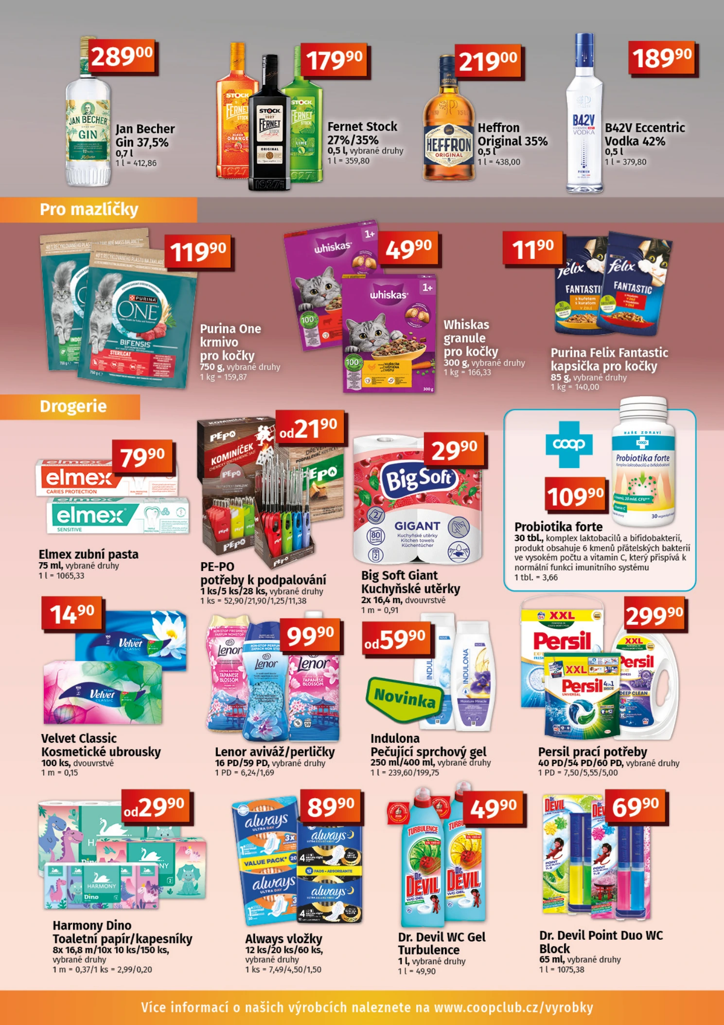 Flyer page 9
