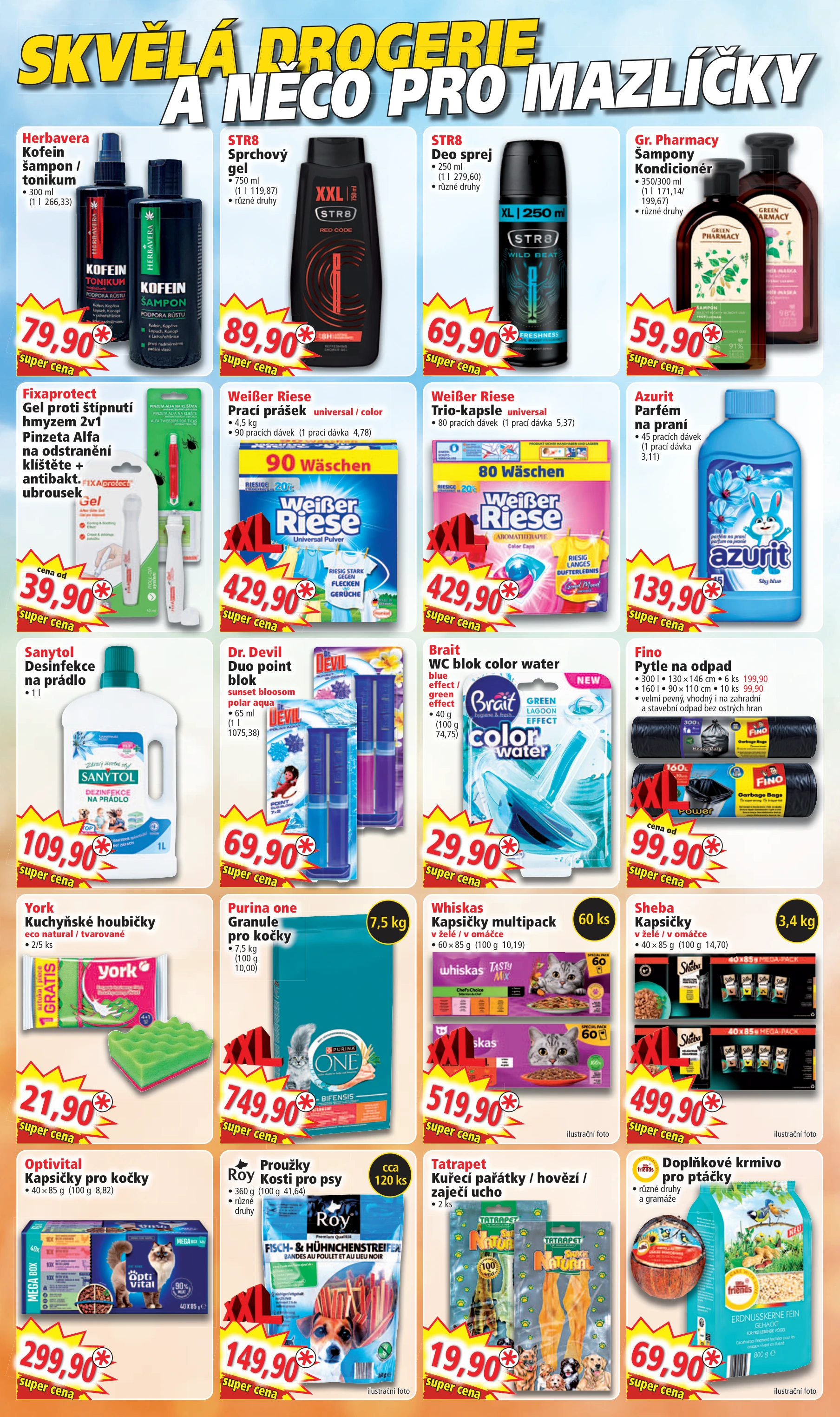 Flyer page 10