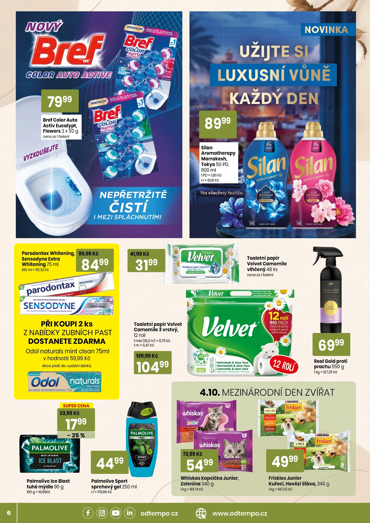 Flyer page 6