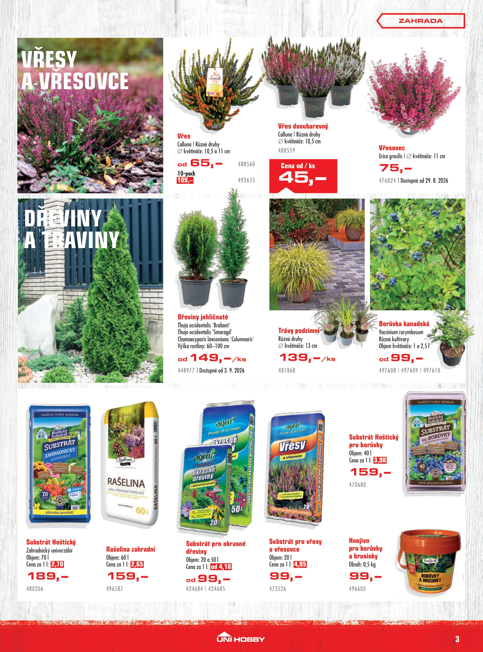 Flyer page 3