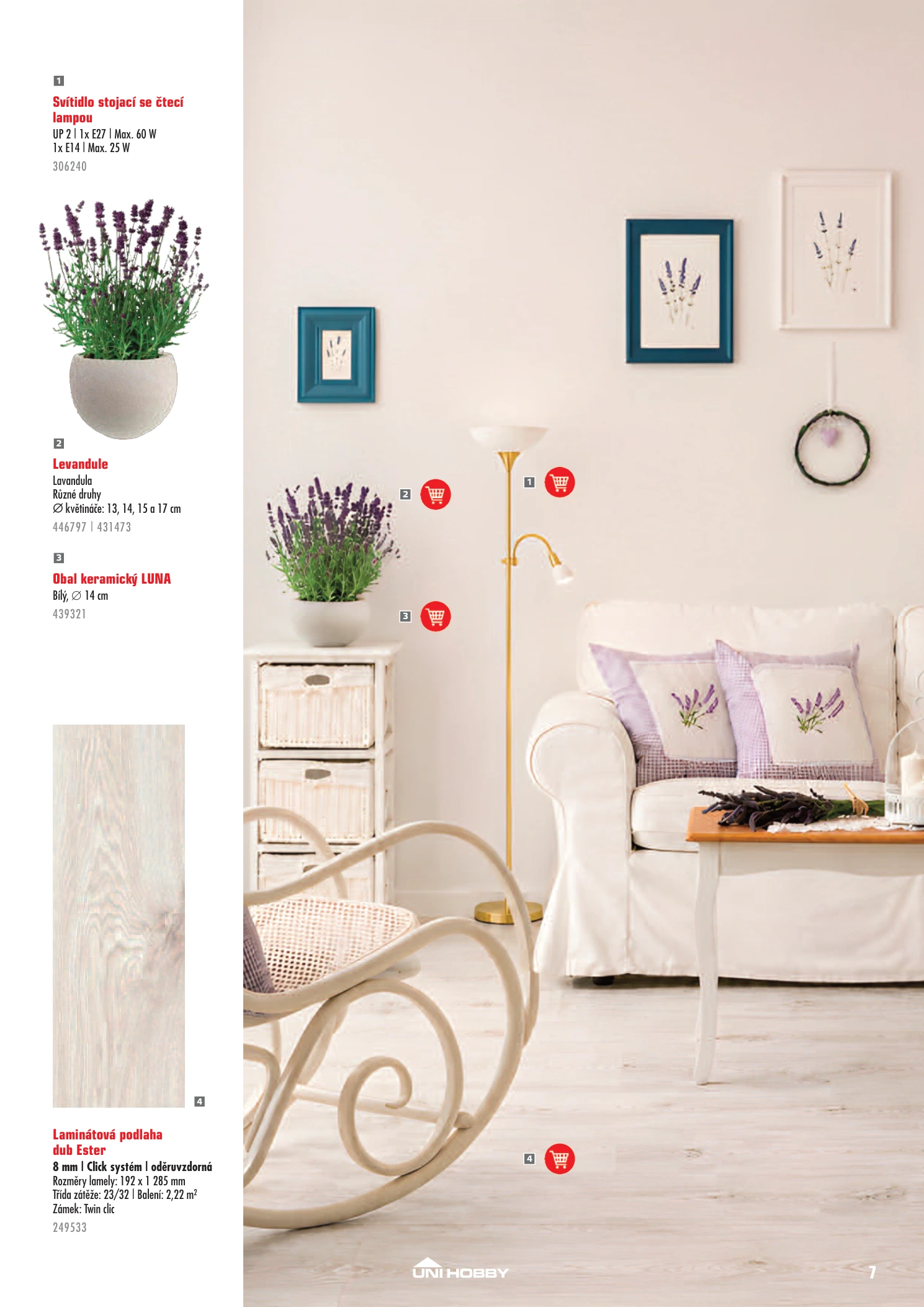 Flyer page 7