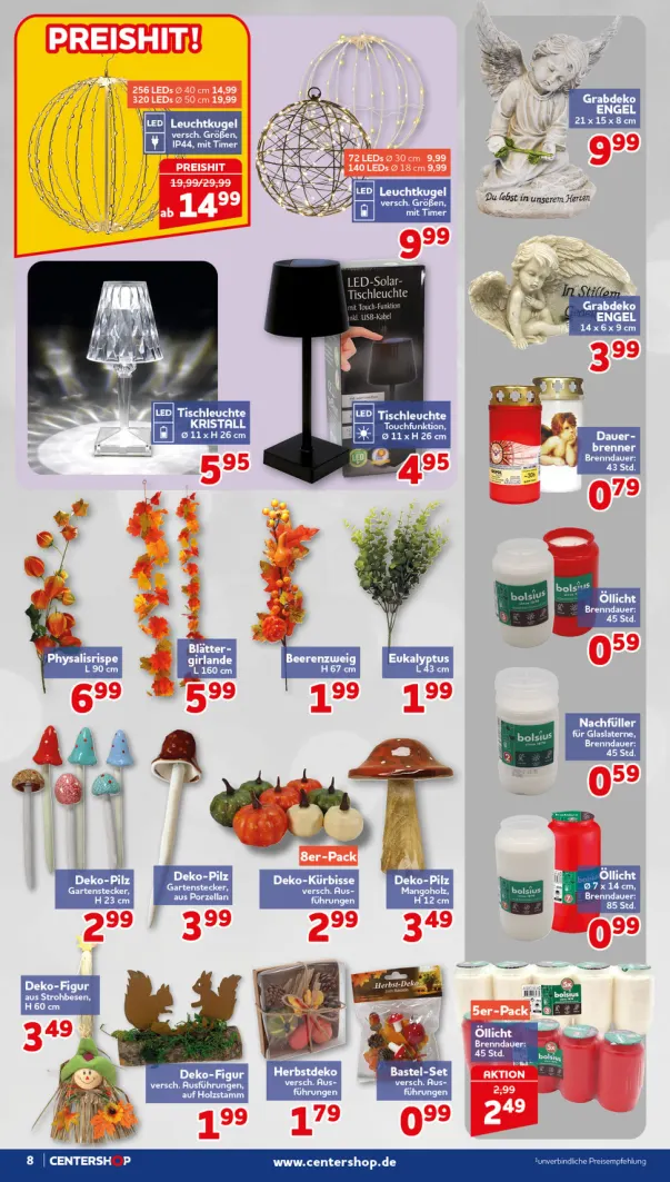 Flyer page 8