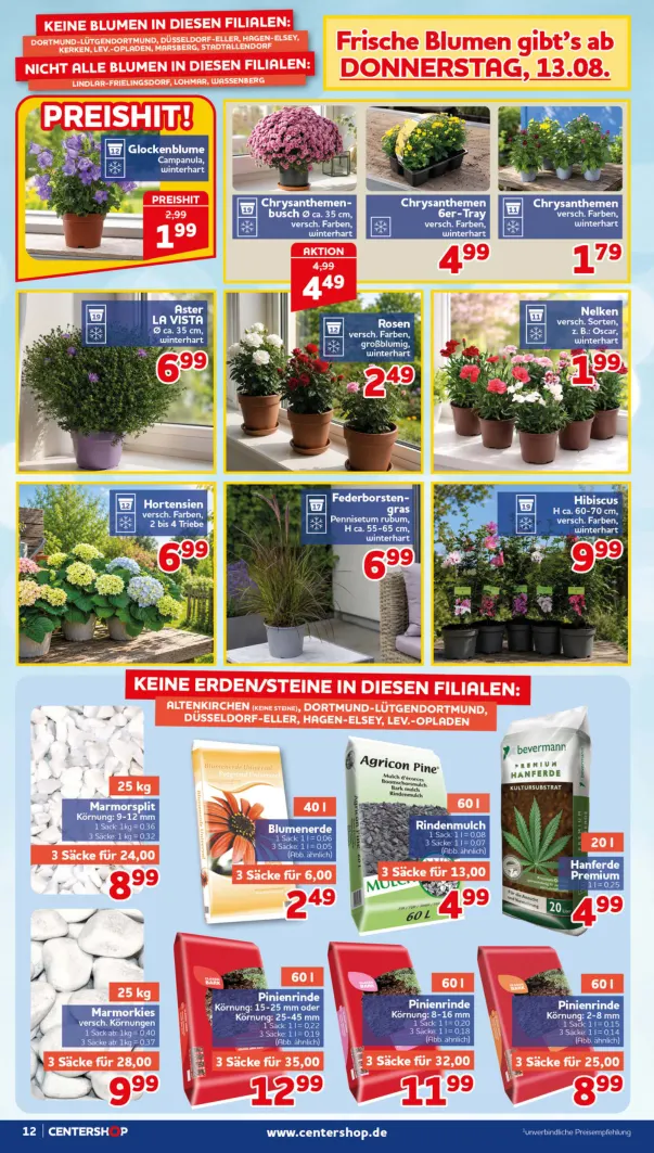 Flyer page 12