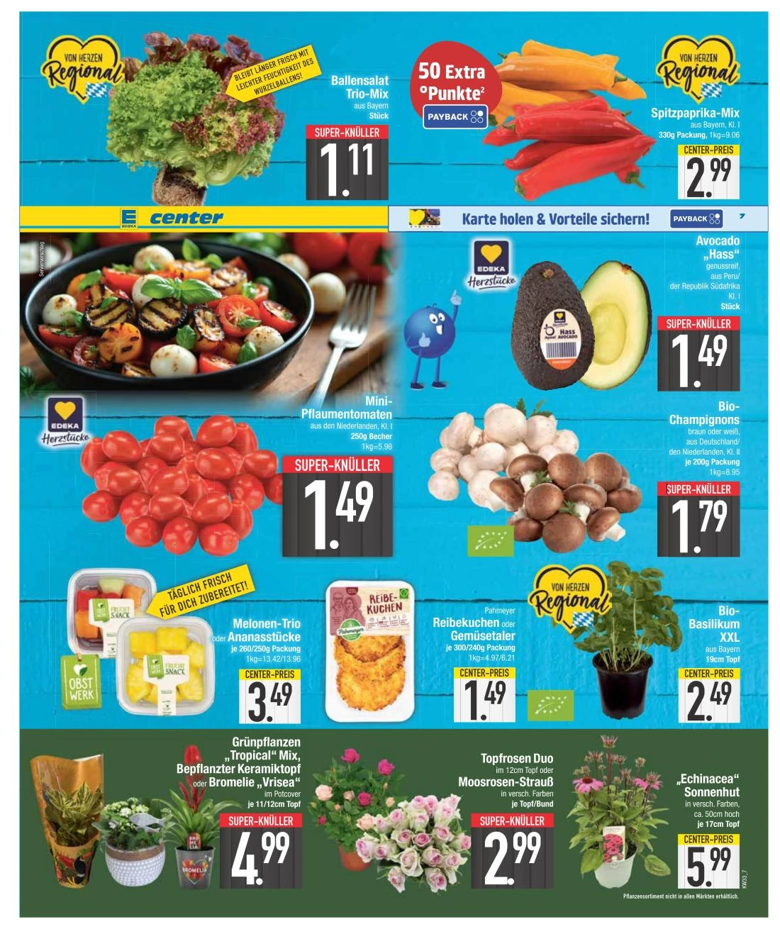 Flyer page 7