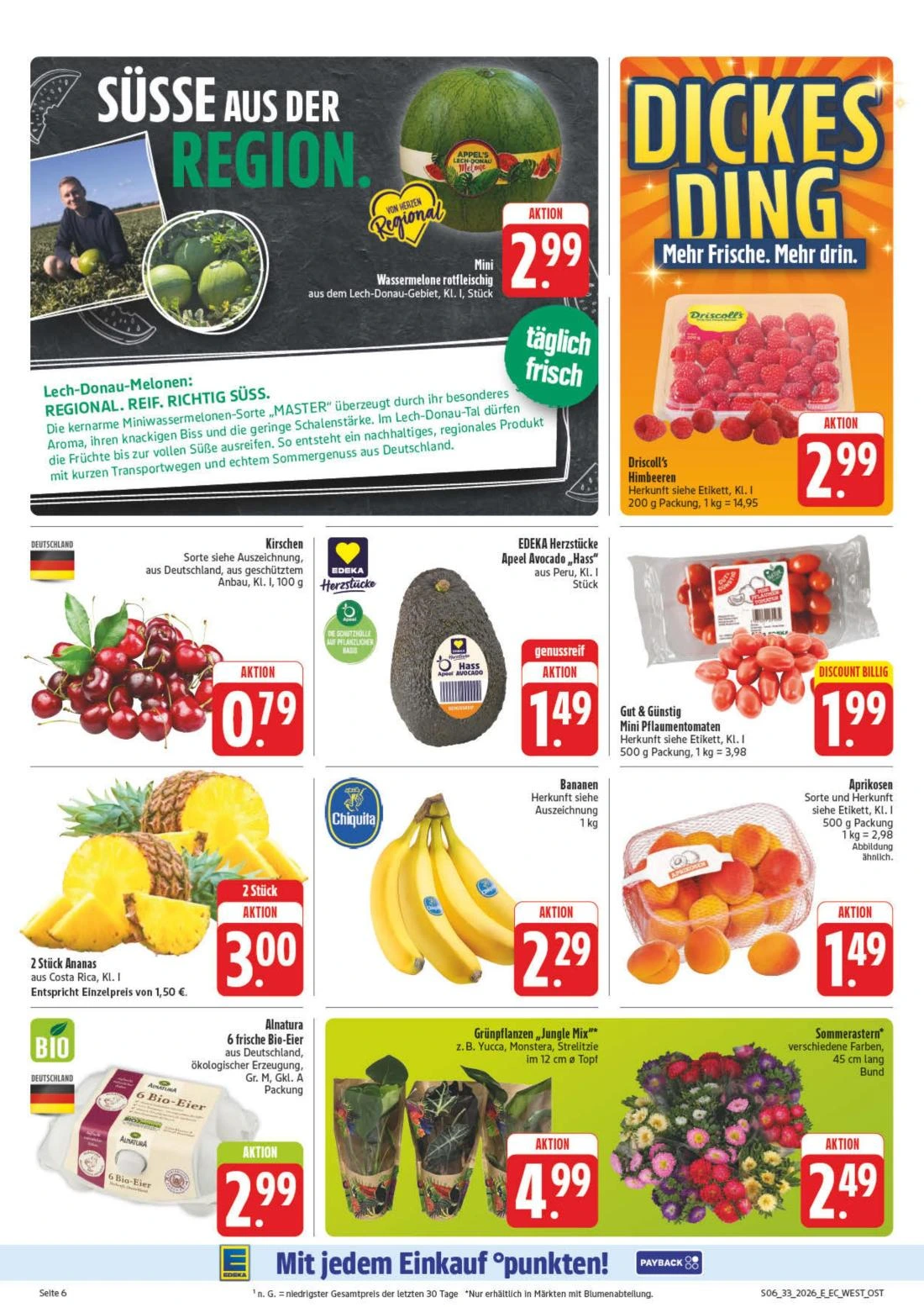 Flyer page 10