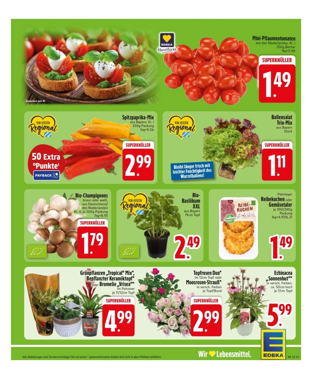 Flyer page 5