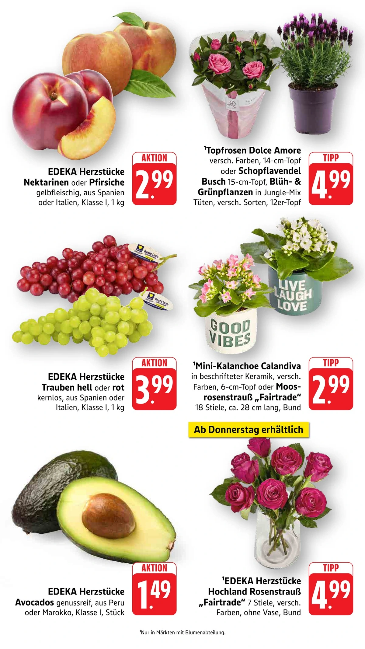 Flyer page 17