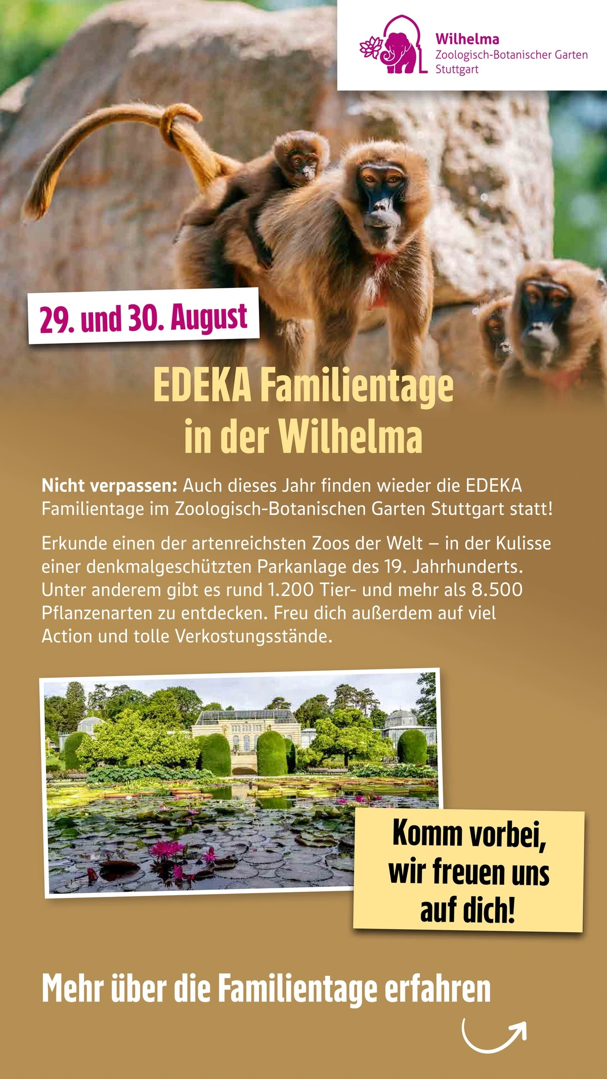 Flyer page 53