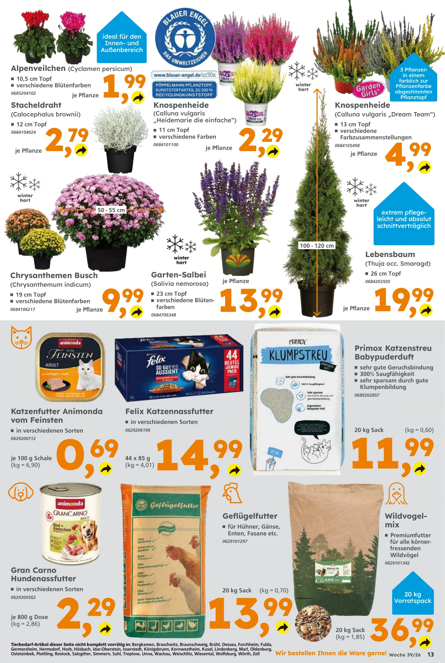 Flyer page 13