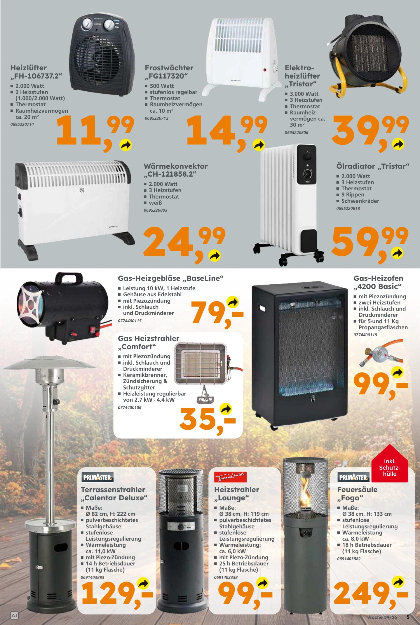Flyer page 5