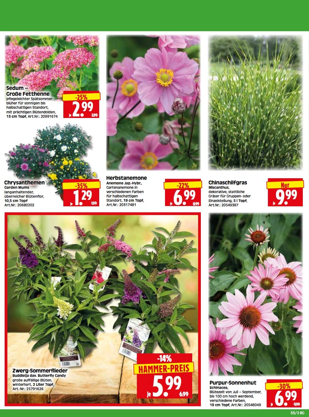 Flyer page 2
