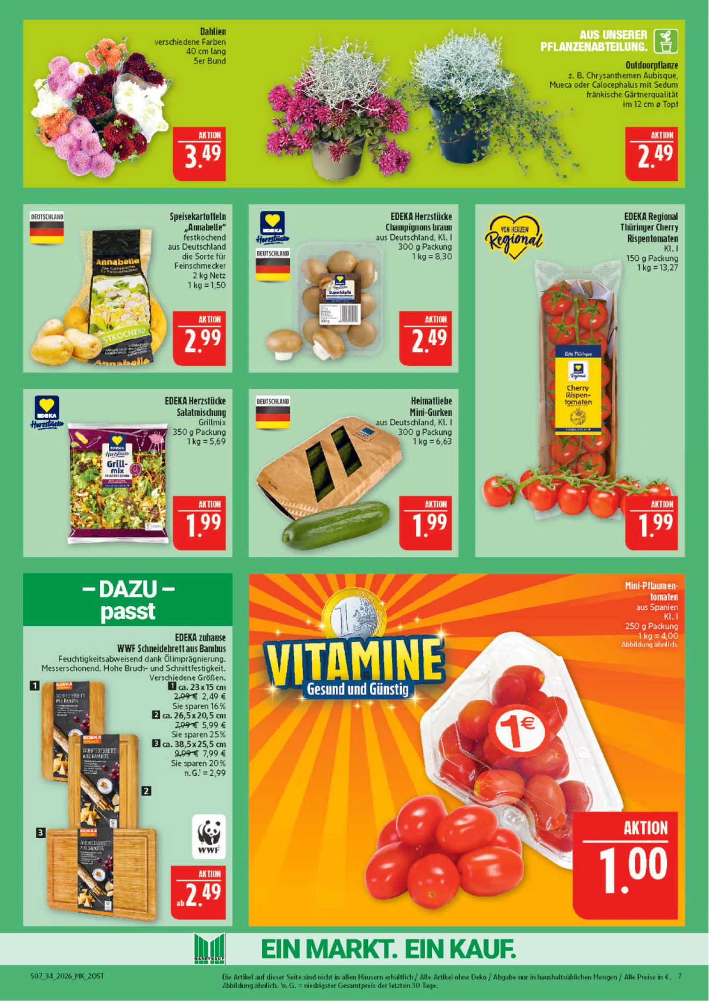 Flyer page 7