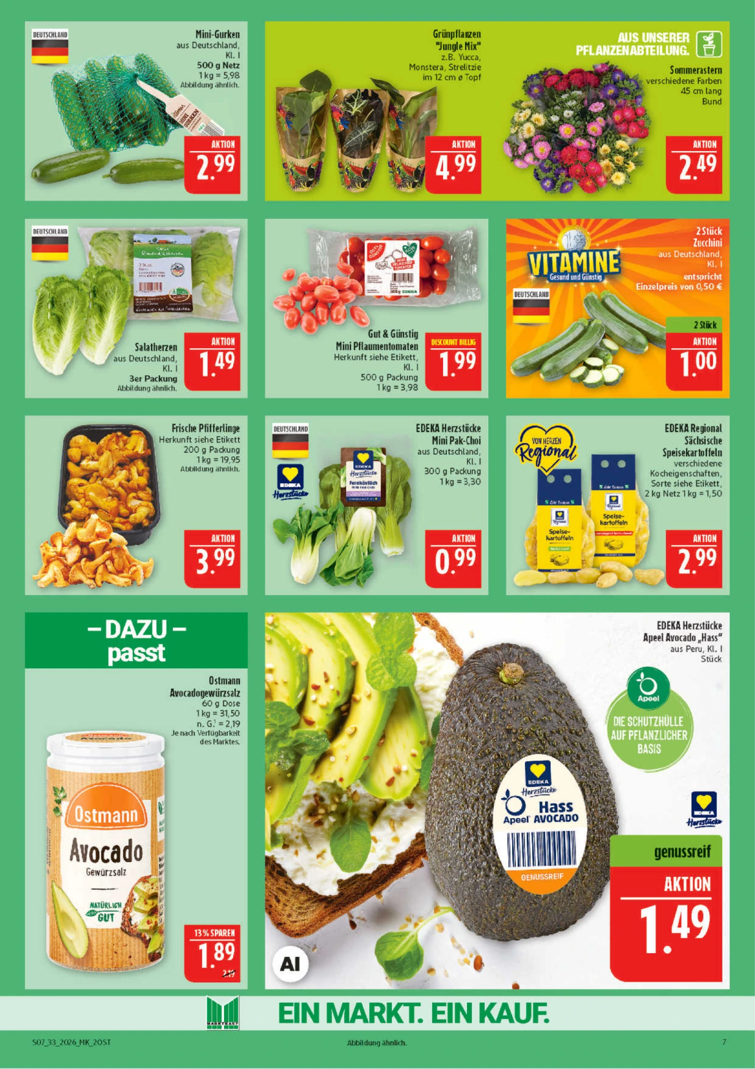Flyer page 7