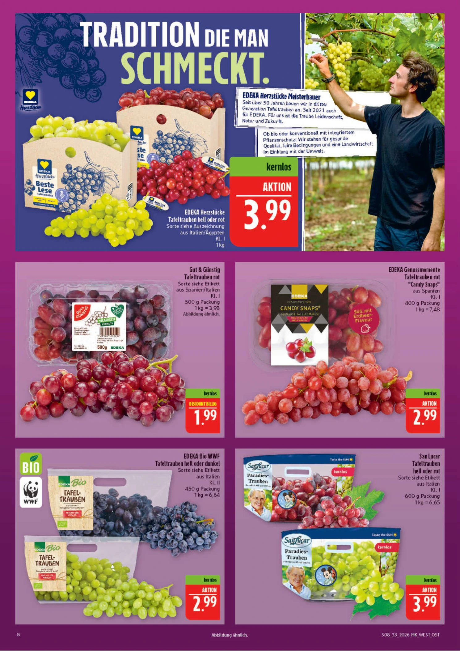 Flyer page 8
