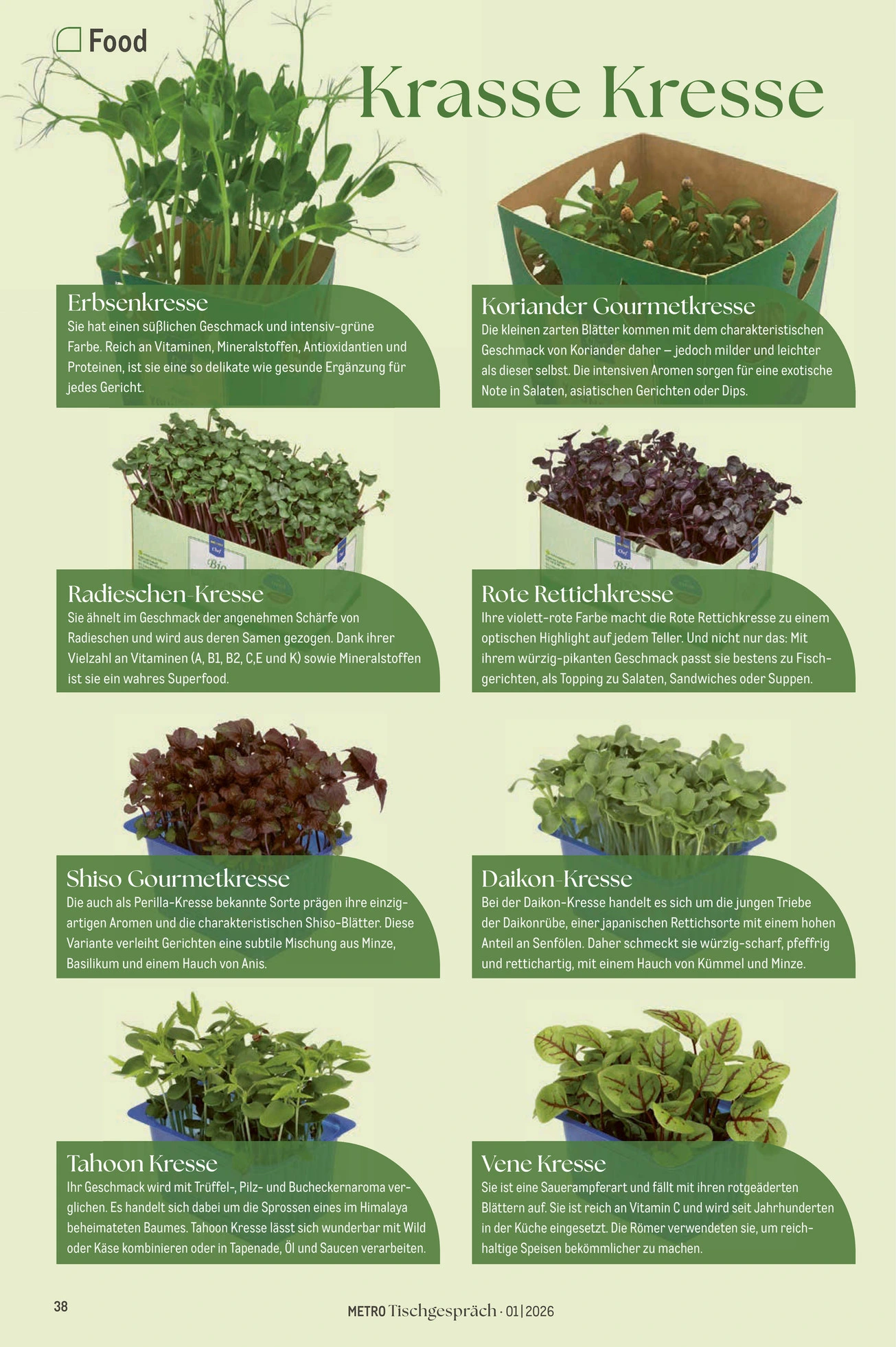 Flyer page 38