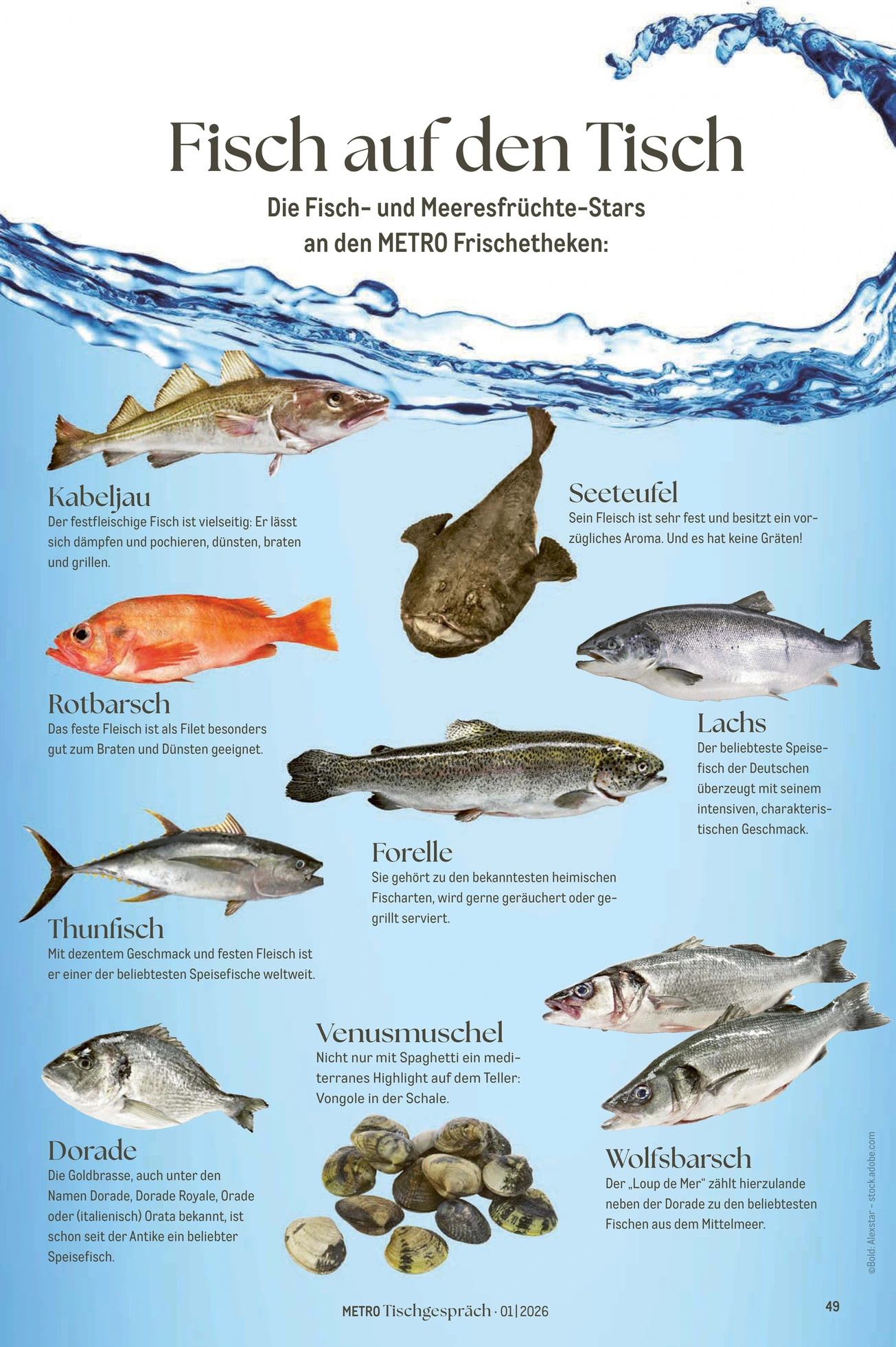 Flyer page 49