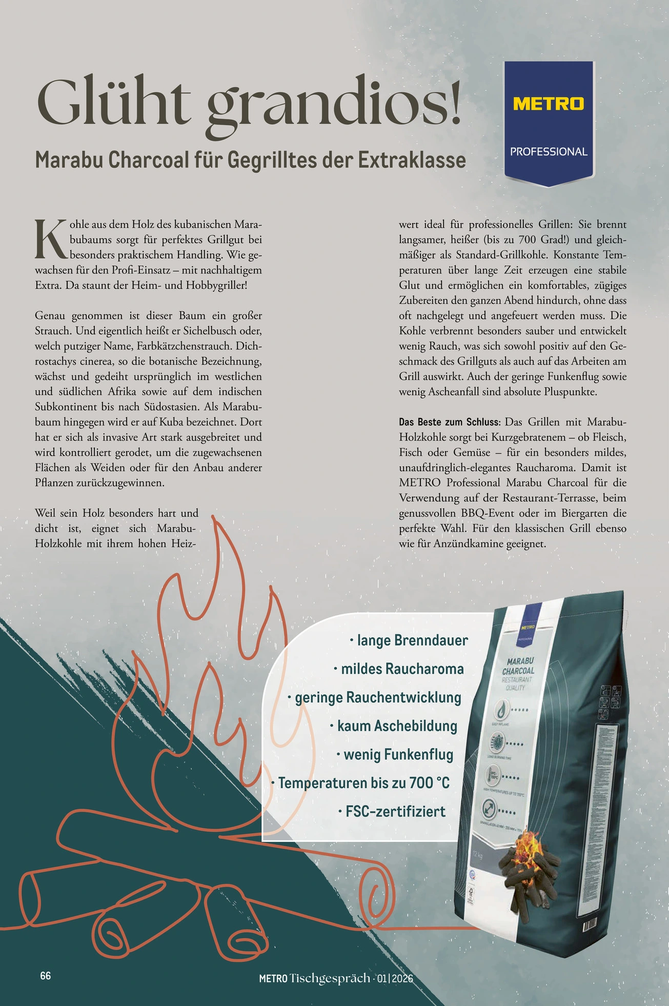 Flyer page 66