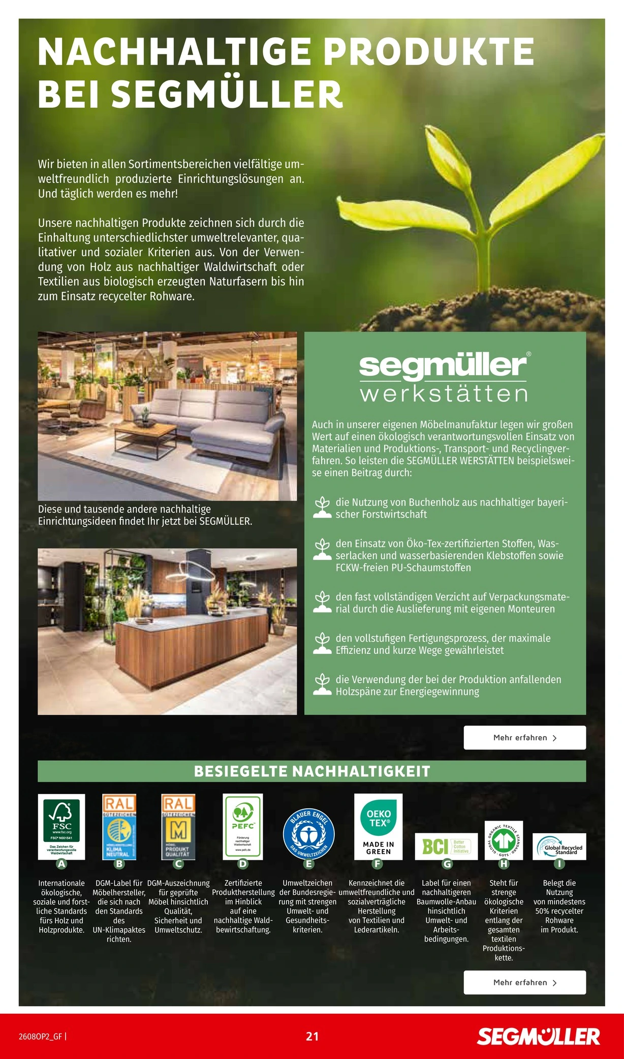 Flyer page 21